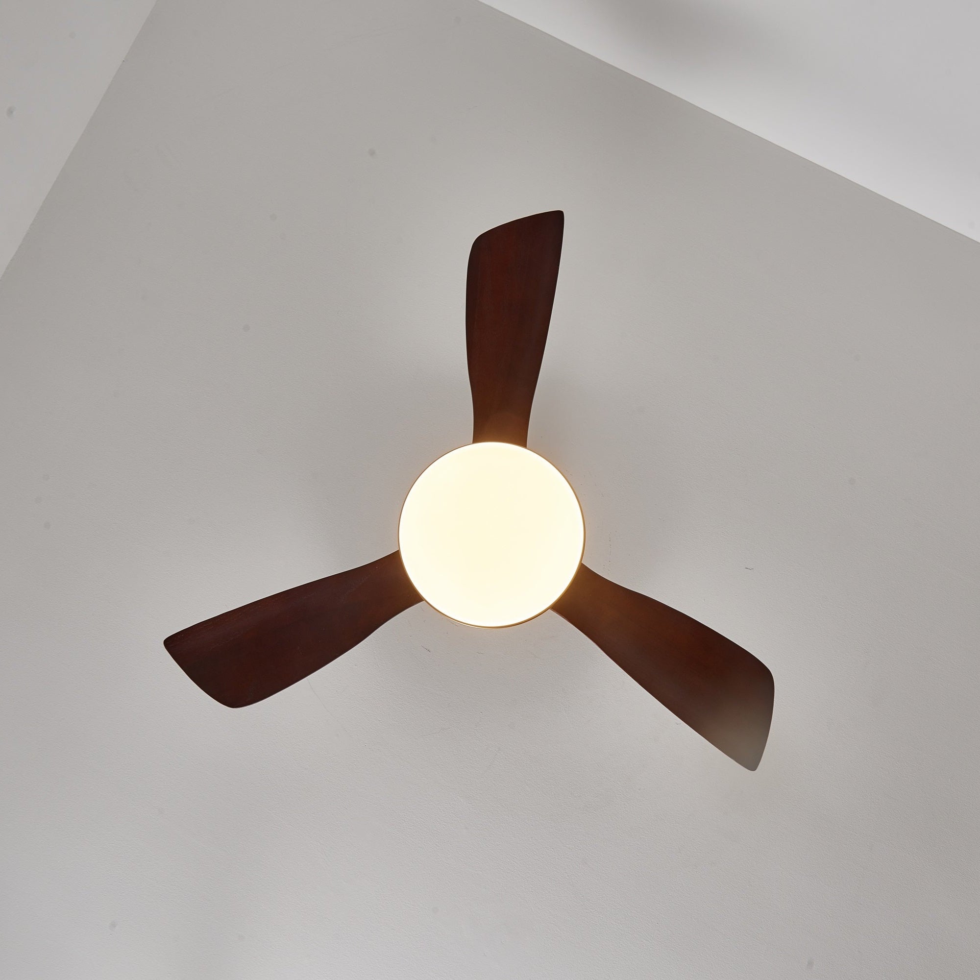 Aurelia Modern Wood Ceiling Fan Light - Blowlighting