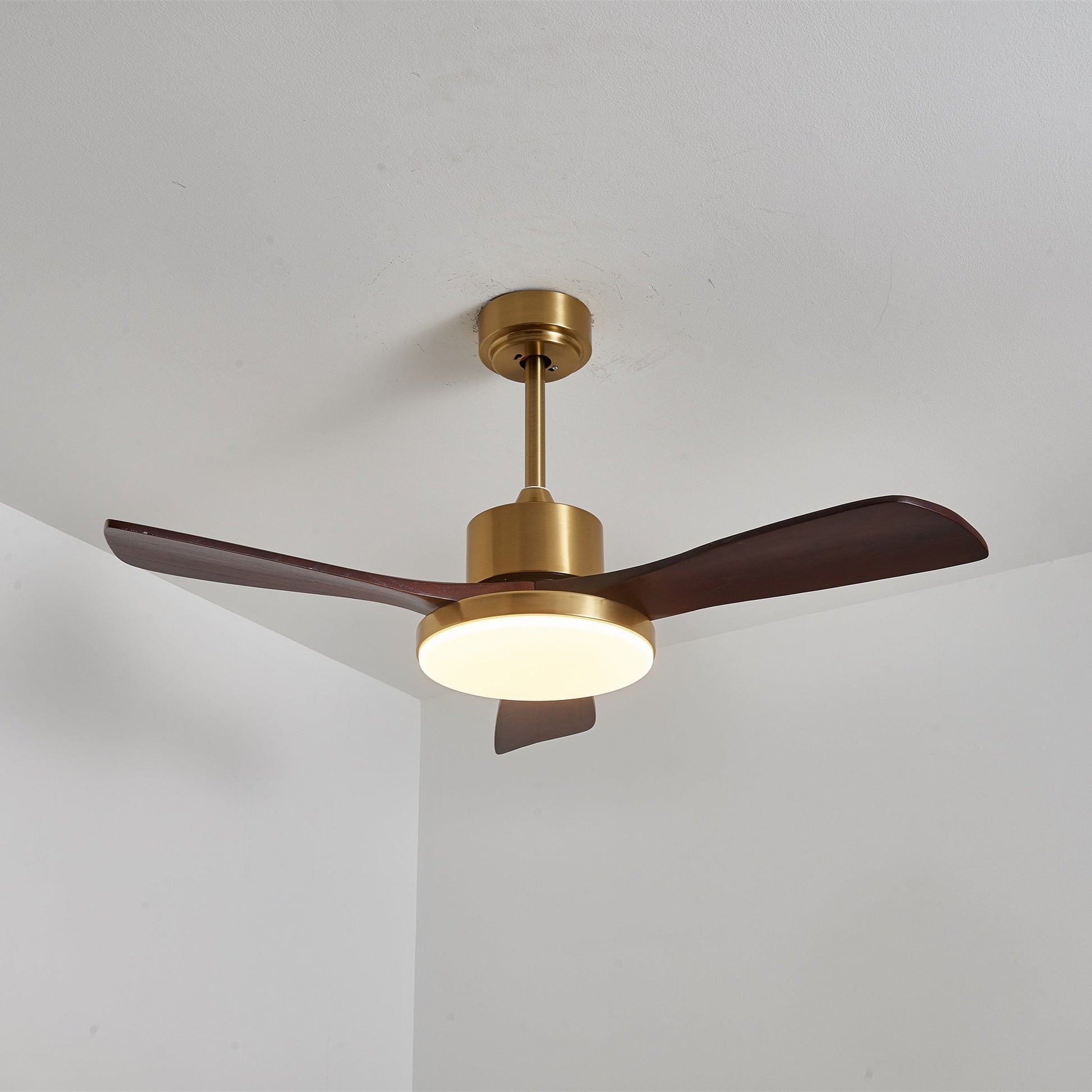 Aurelia Modern Wood Ceiling Fan Light - Blowlighting