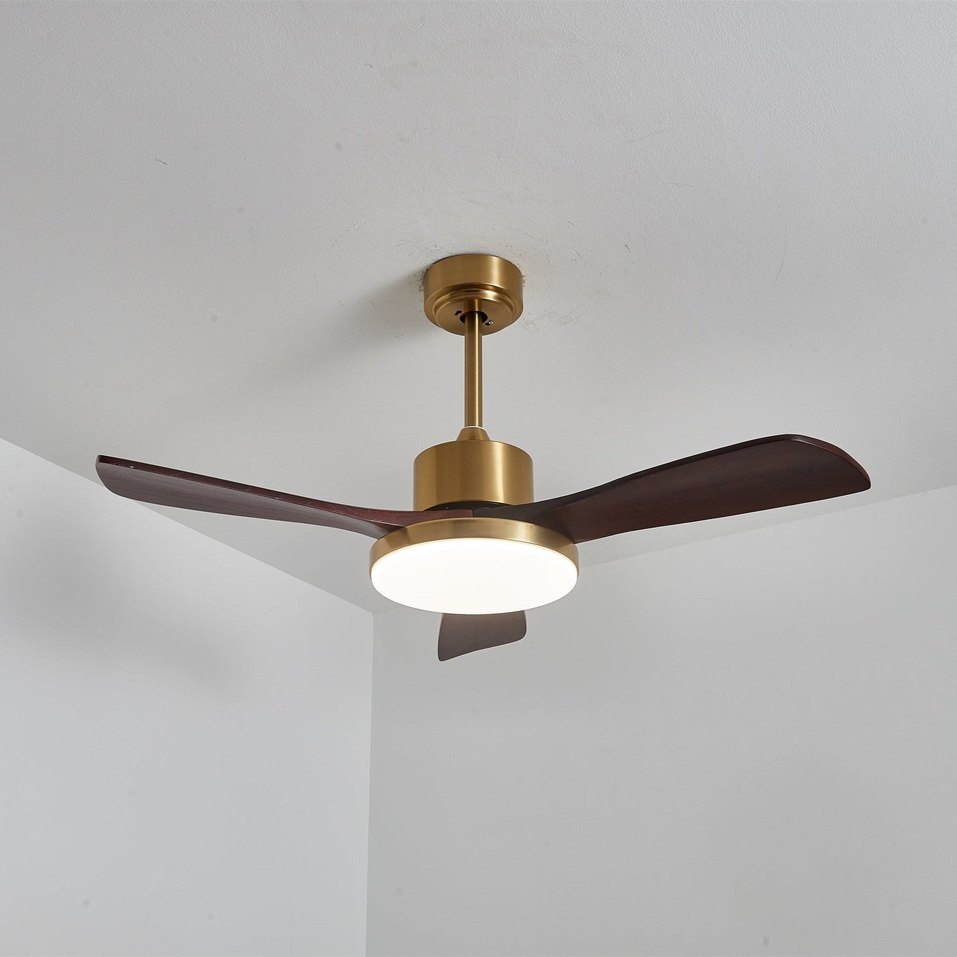 Aurelia Modern Wood Ceiling Fan Light - Blowlighting