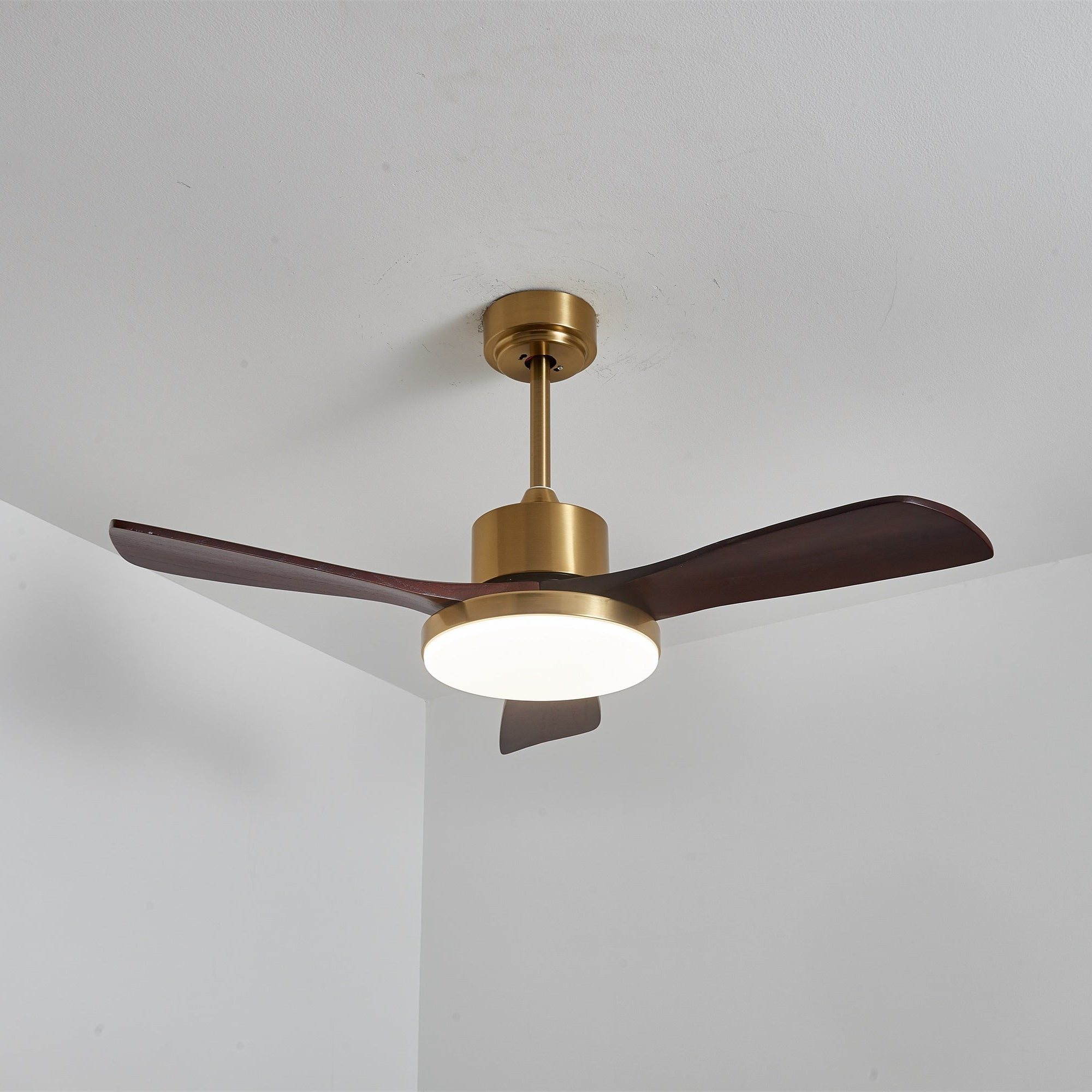 Aurelia Modern Wood Ceiling Fan Light - Blowlighting