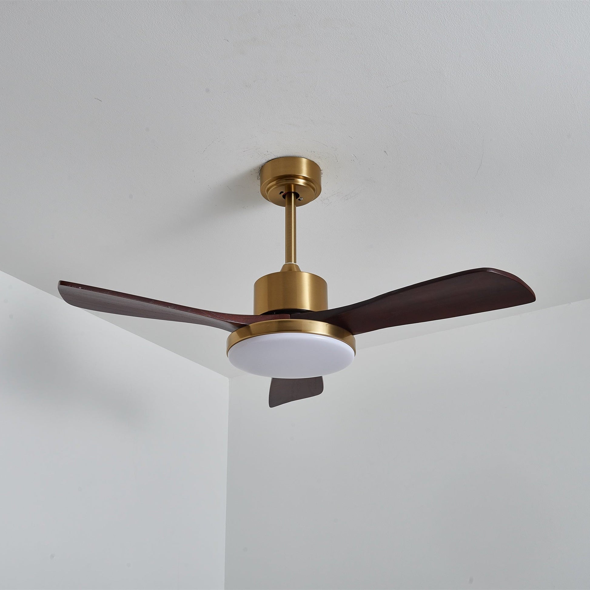 Aurelia Modern Wood Ceiling Fan Light - Blowlighting