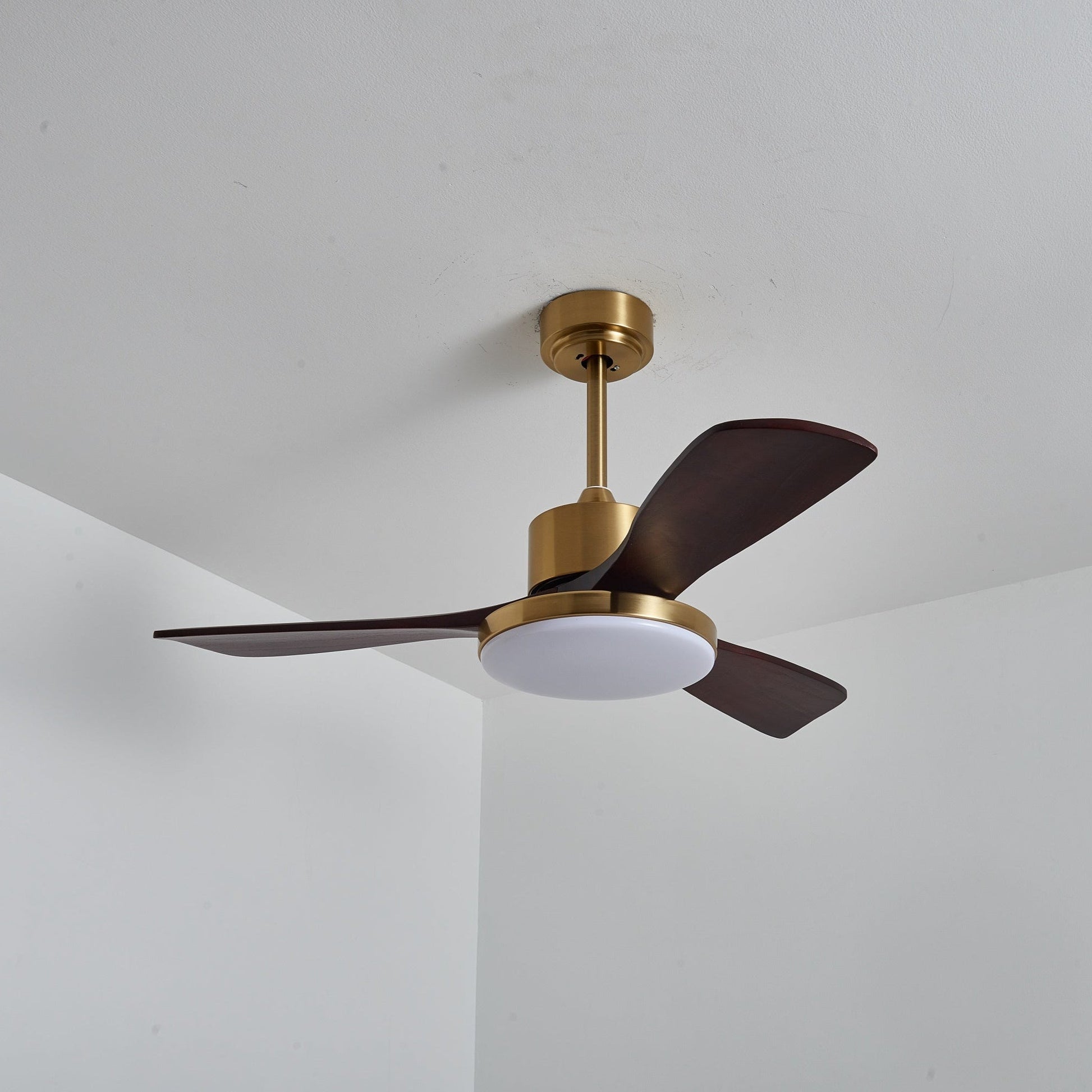 Aurelia Modern Wood Ceiling Fan Light - Blowlighting