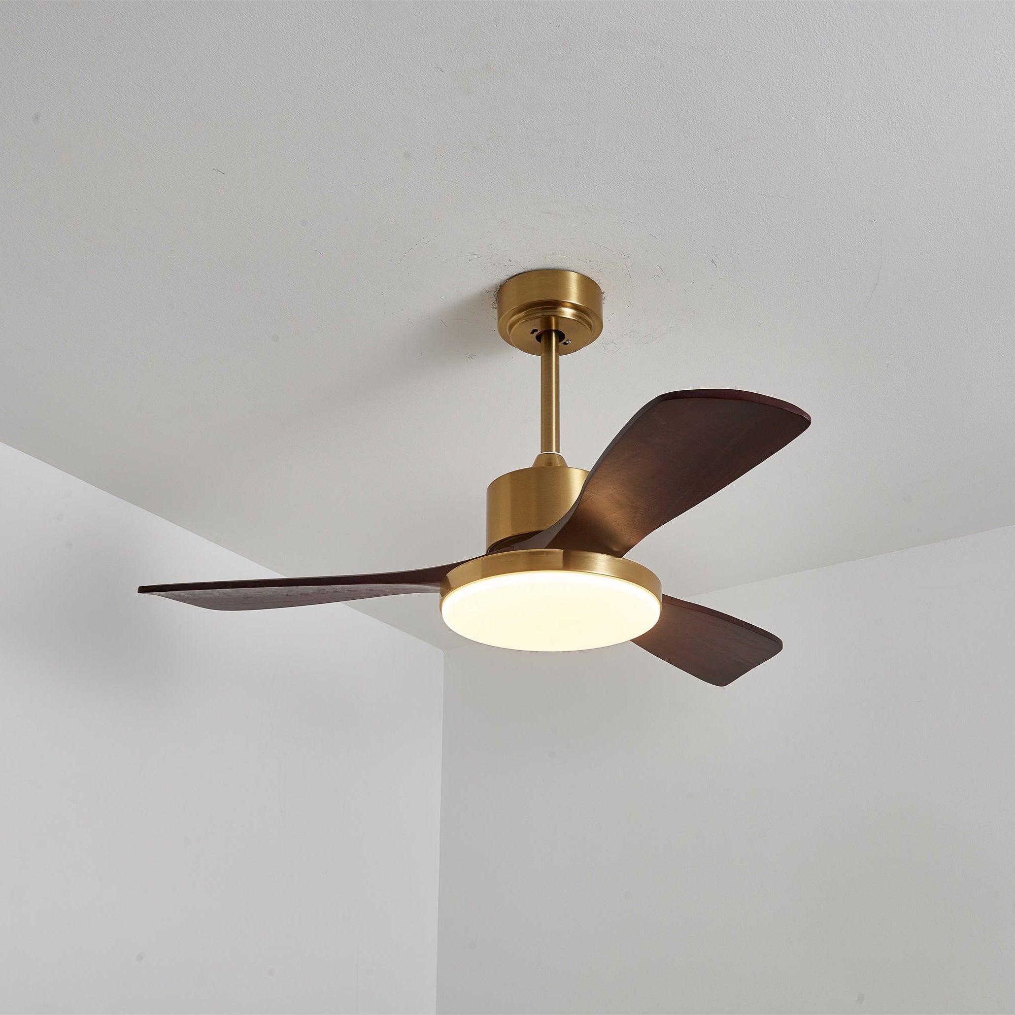 Aurelia Modern Wood Ceiling Fan Light - Blowlighting
