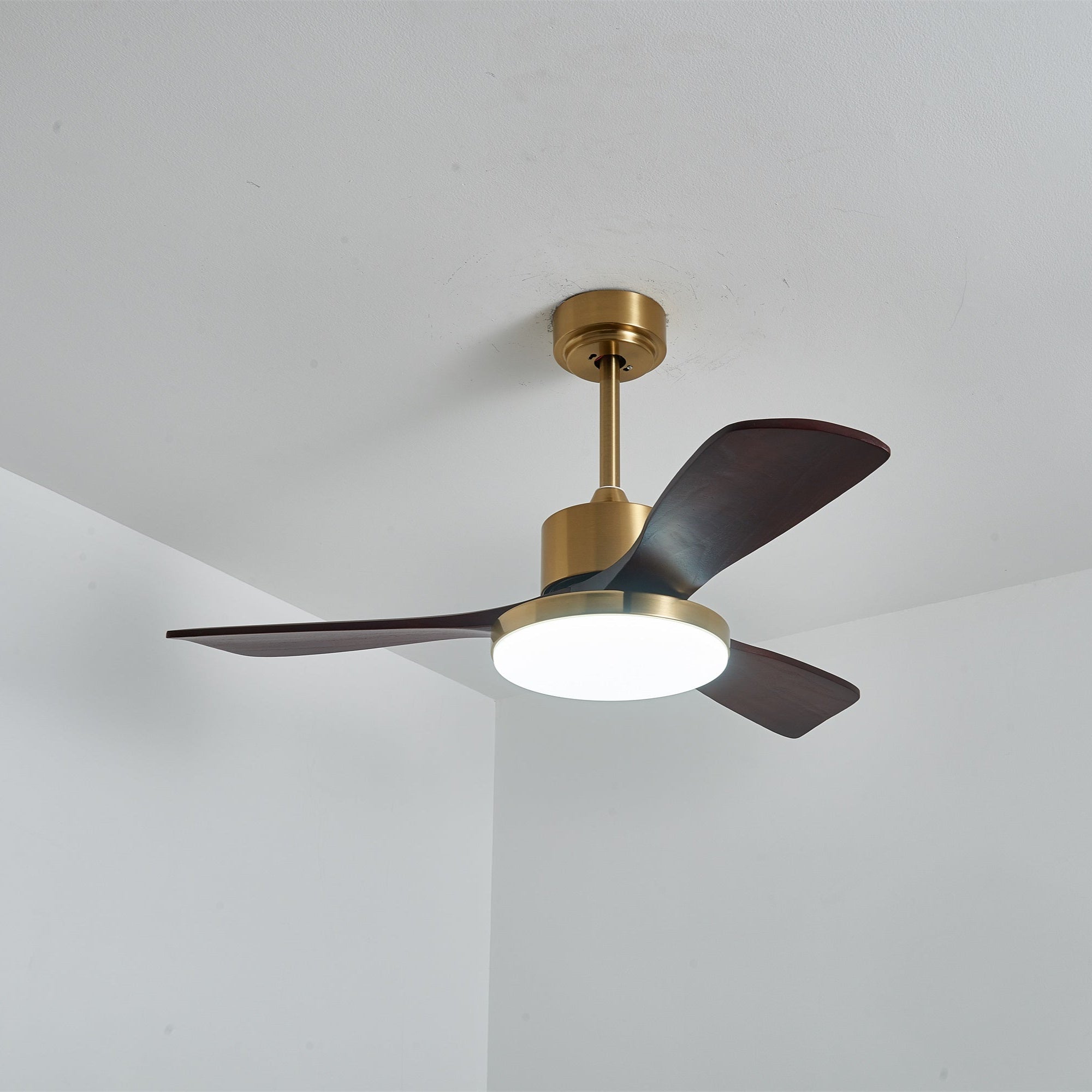 Aurelia Modern Wood Ceiling Fan Light - Blowlighting