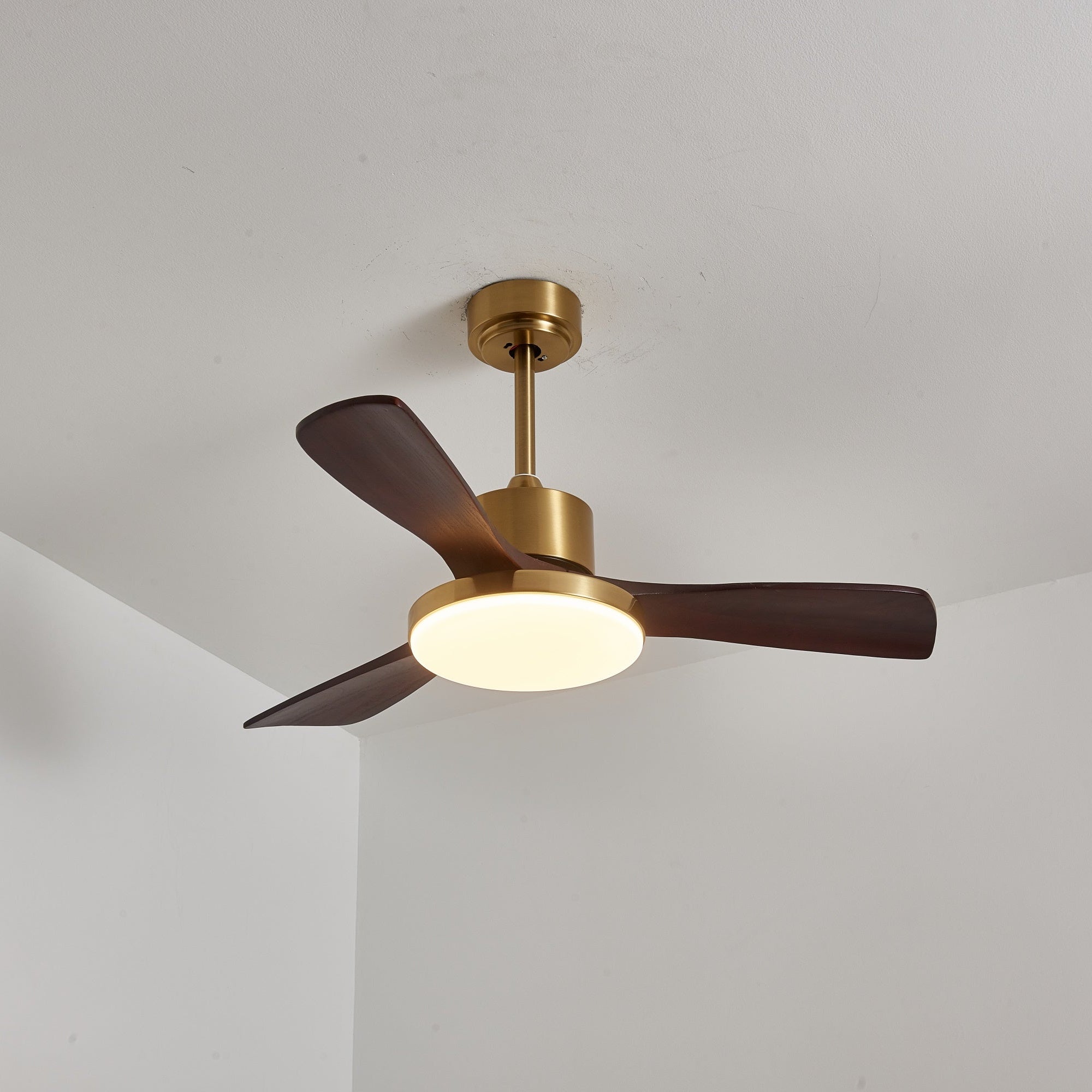 Aurelia Modern Wood Ceiling Fan Light - Blowlighting