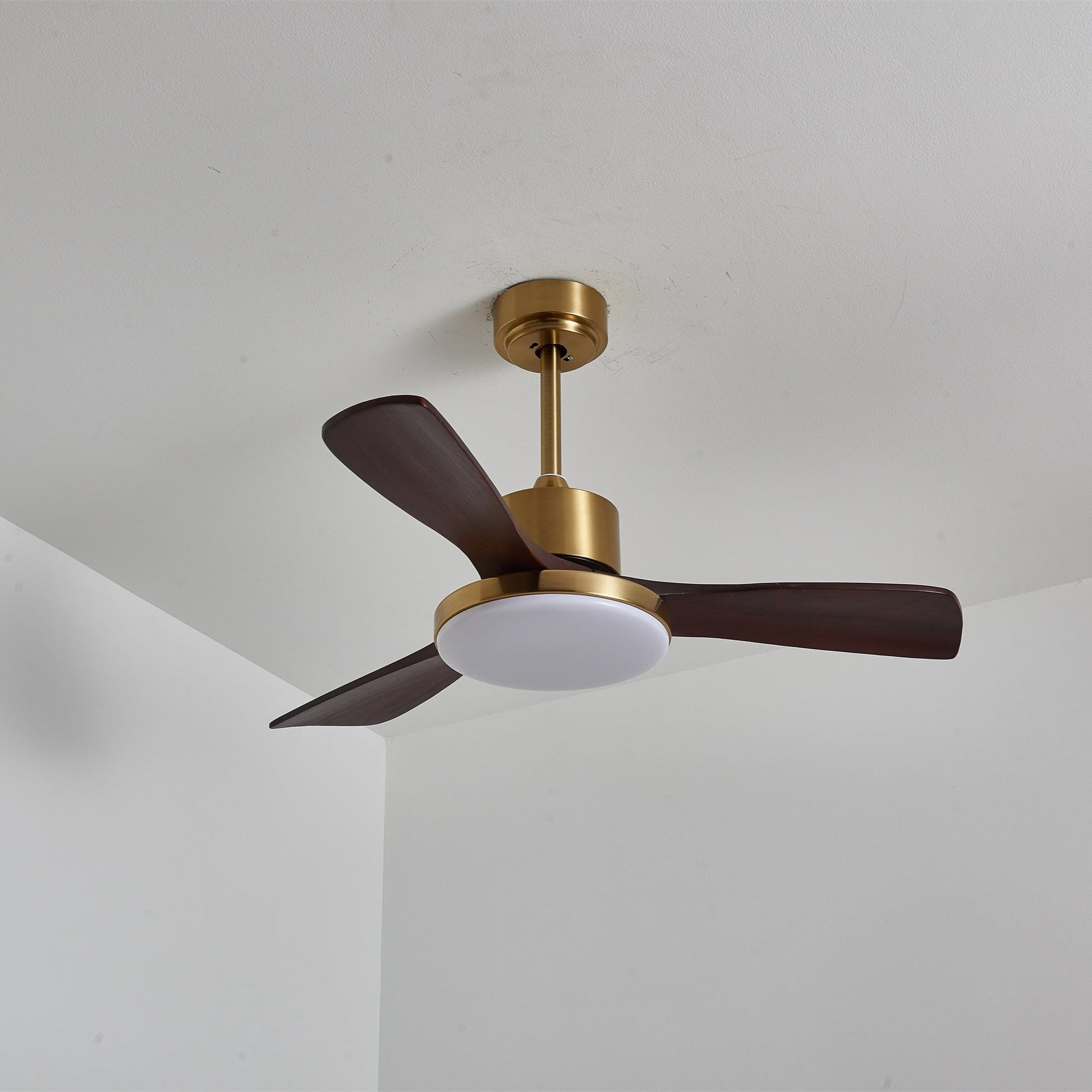 Aurelia Modern Wood Ceiling Fan Light - Blowlighting