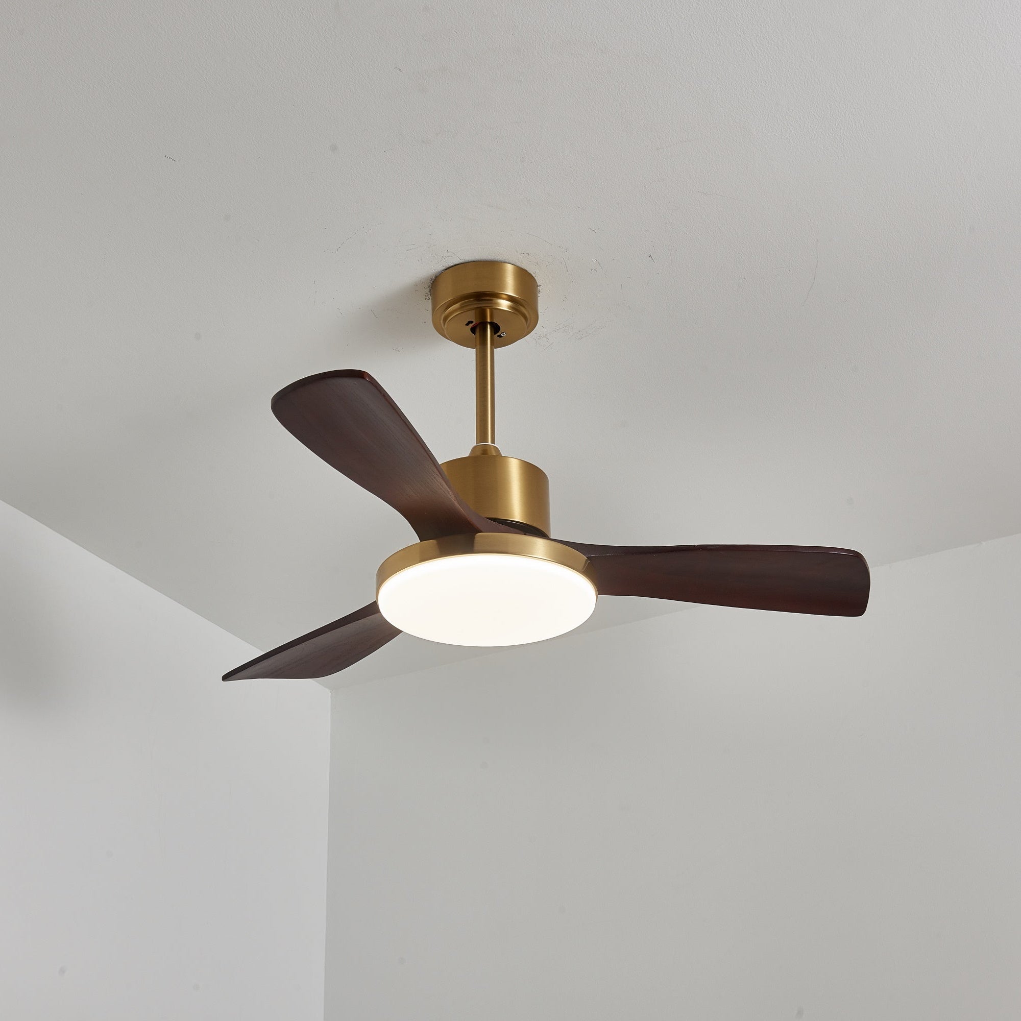 Aurelia Modern Wood Ceiling Fan Light - Blowlighting