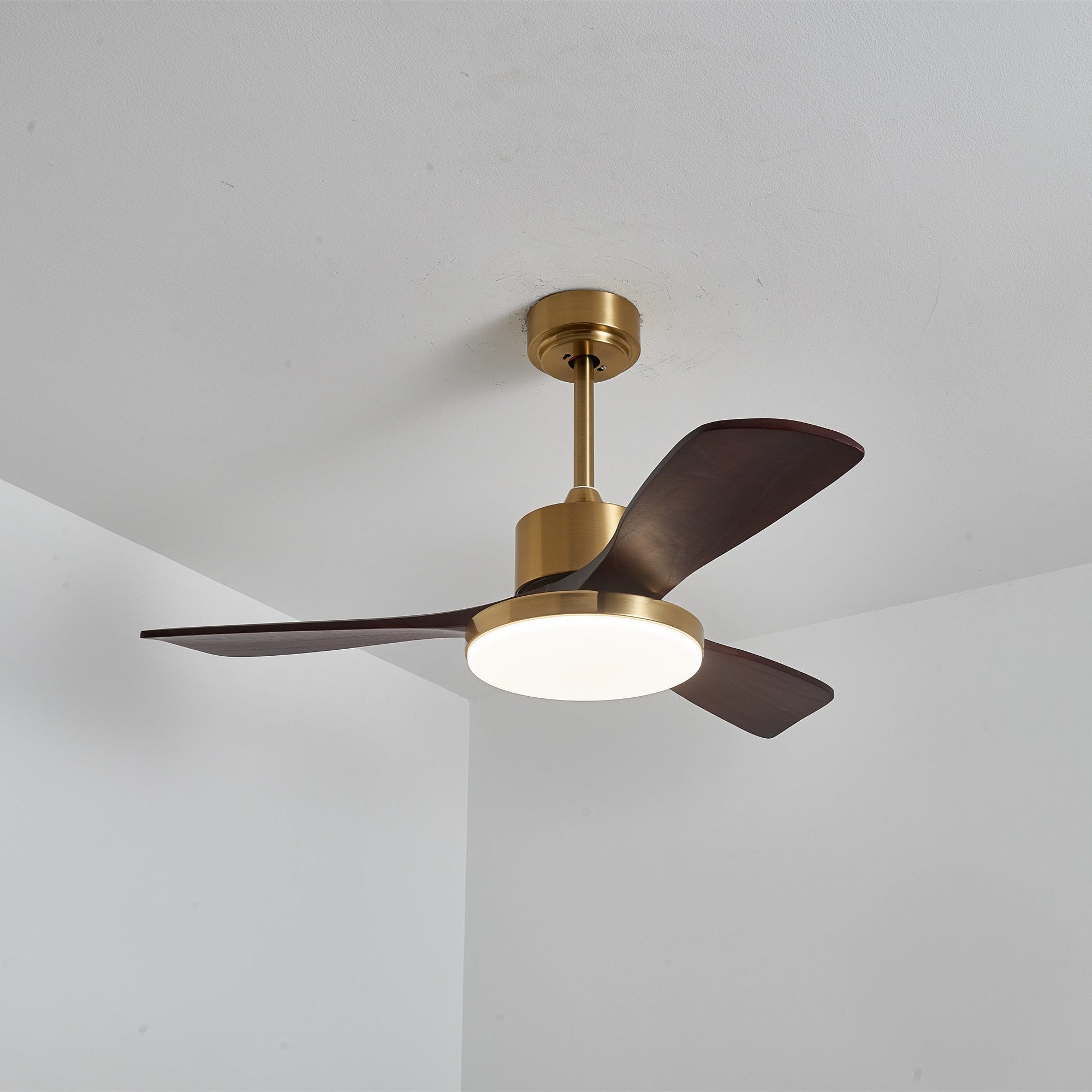 Aurelia Modern Wood Ceiling Fan Light - Blowlighting