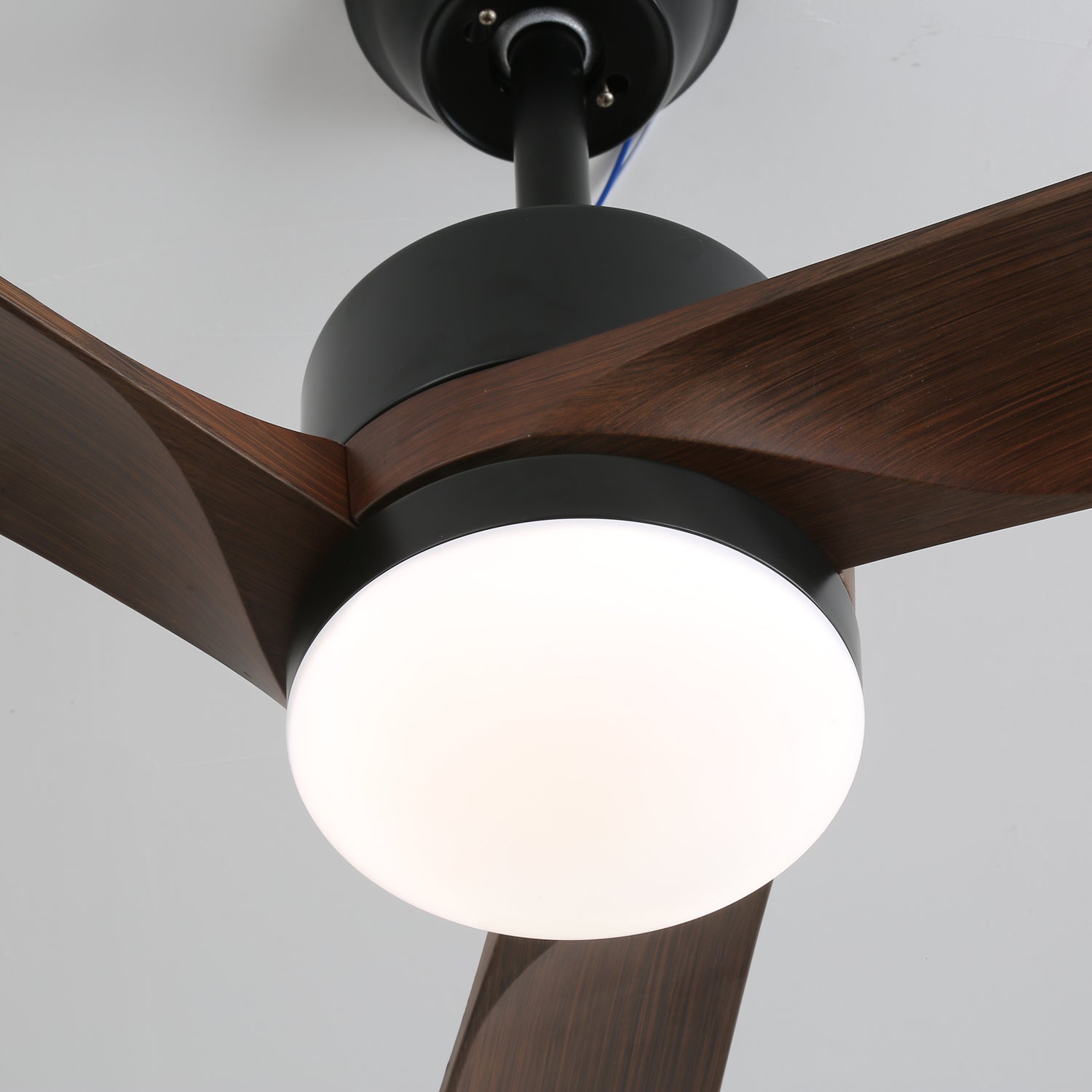 Evraeis Modern Wood Ceiling Fan Light - Blowlighting