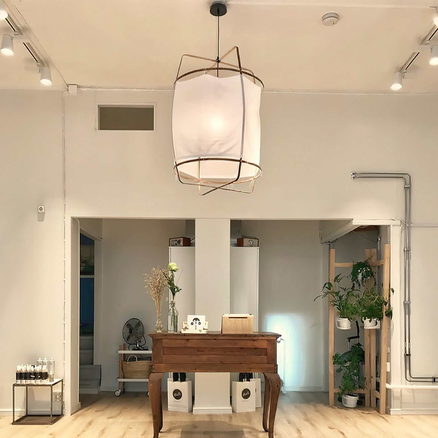 Ay illuminate Pendant Light - Blowlighting