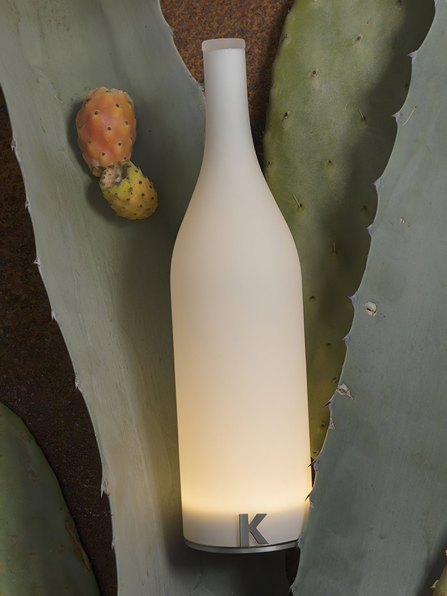 Bacco Built-in Battery Table Lamp - Blowlighting