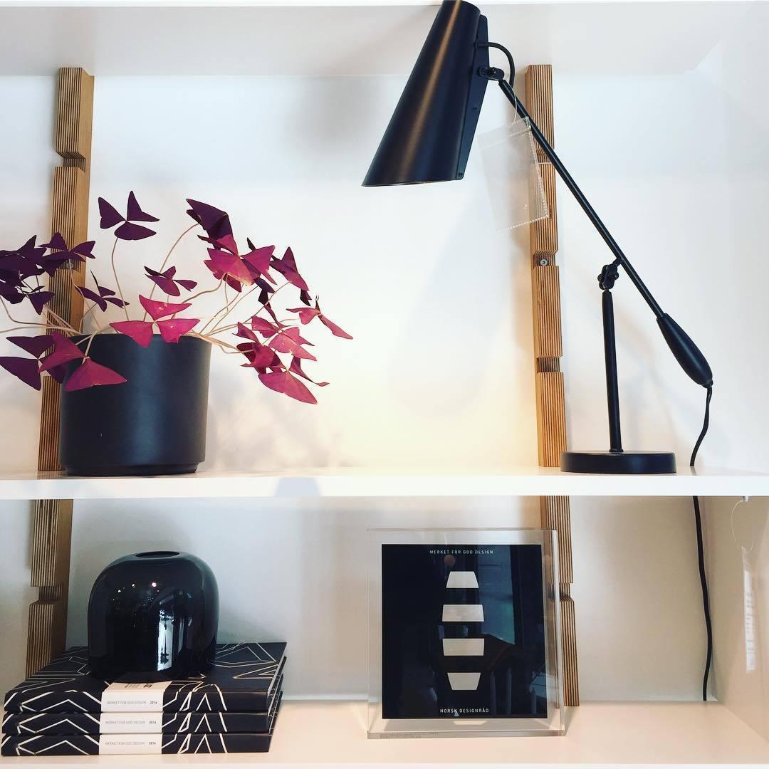 Birdy Table Lamp - Blowlighting