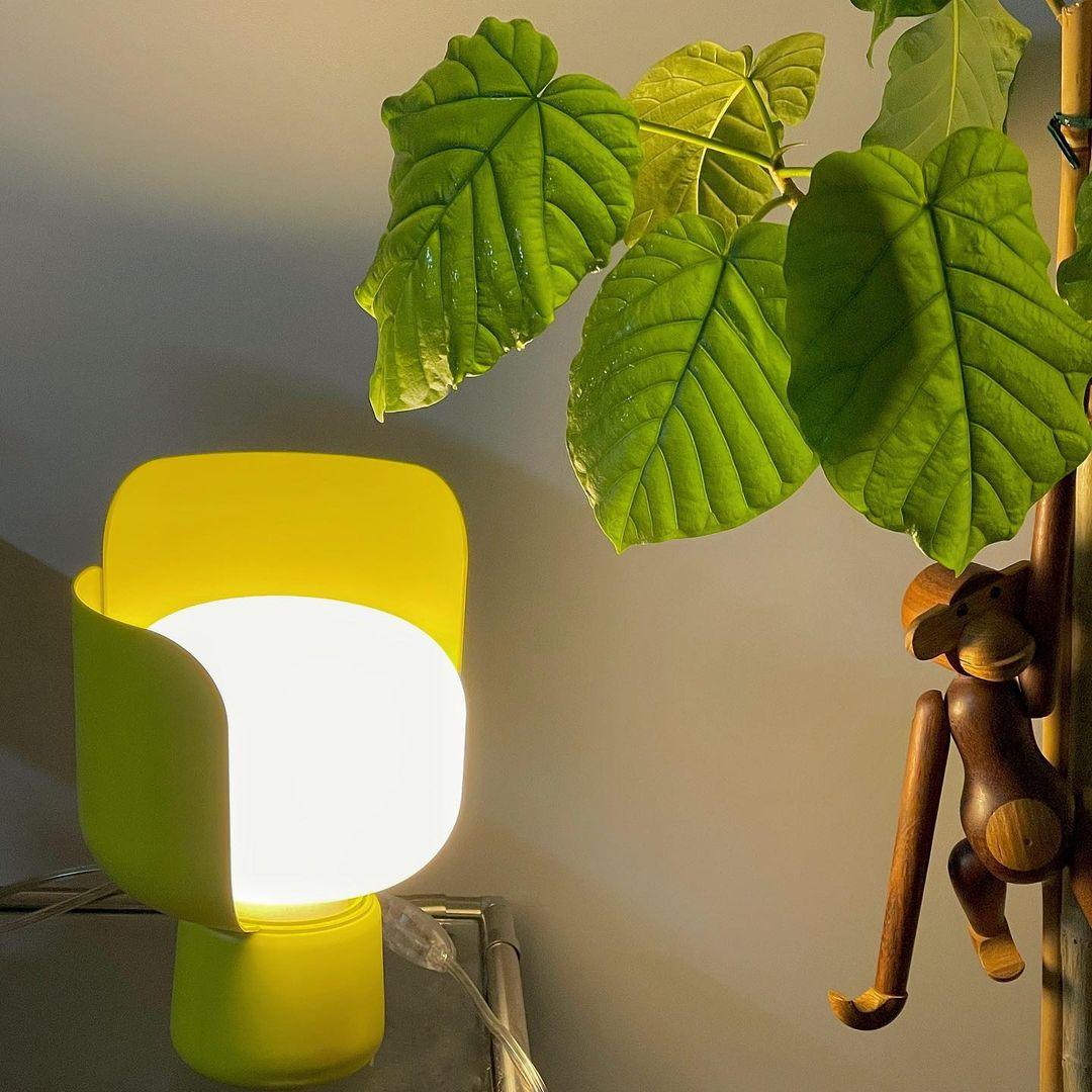 Petals Glass Table Lamp - Blowlighting