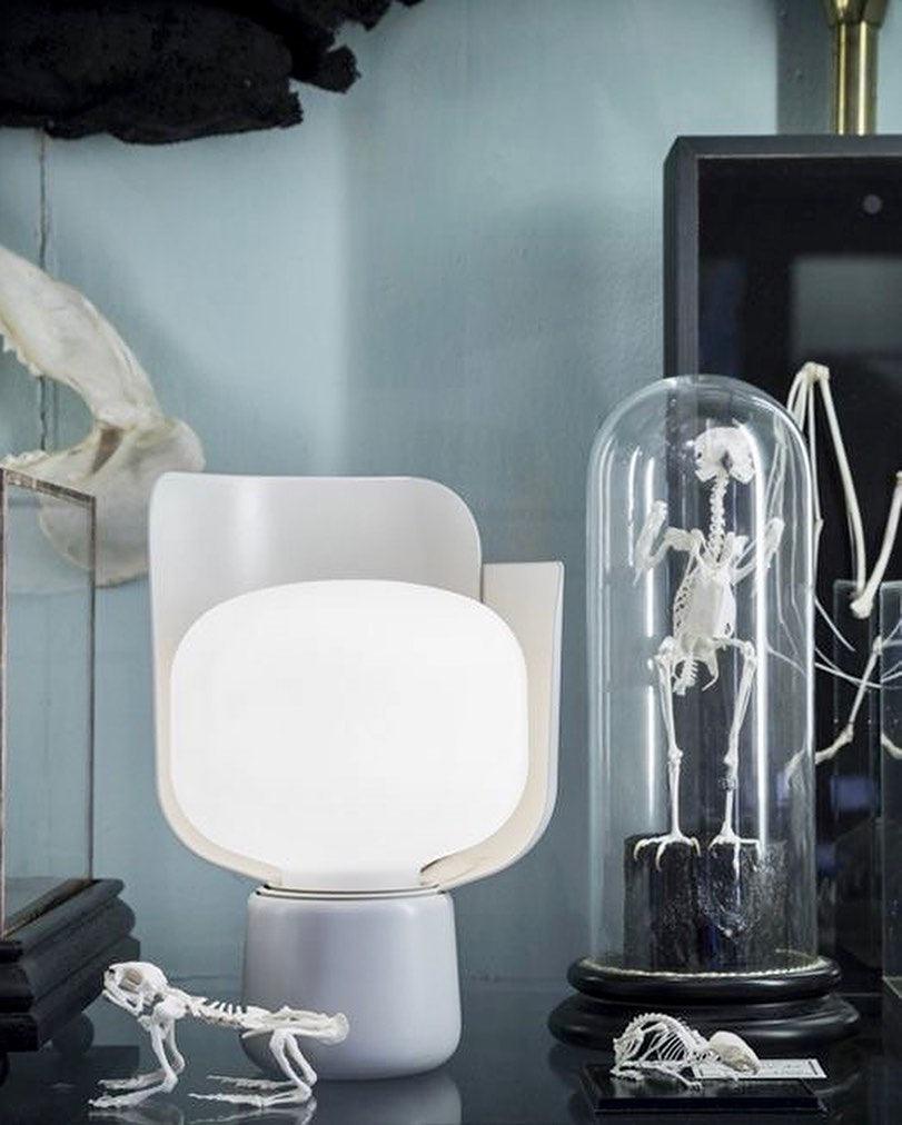 Petals Glass Table Lamp - Blowlighting