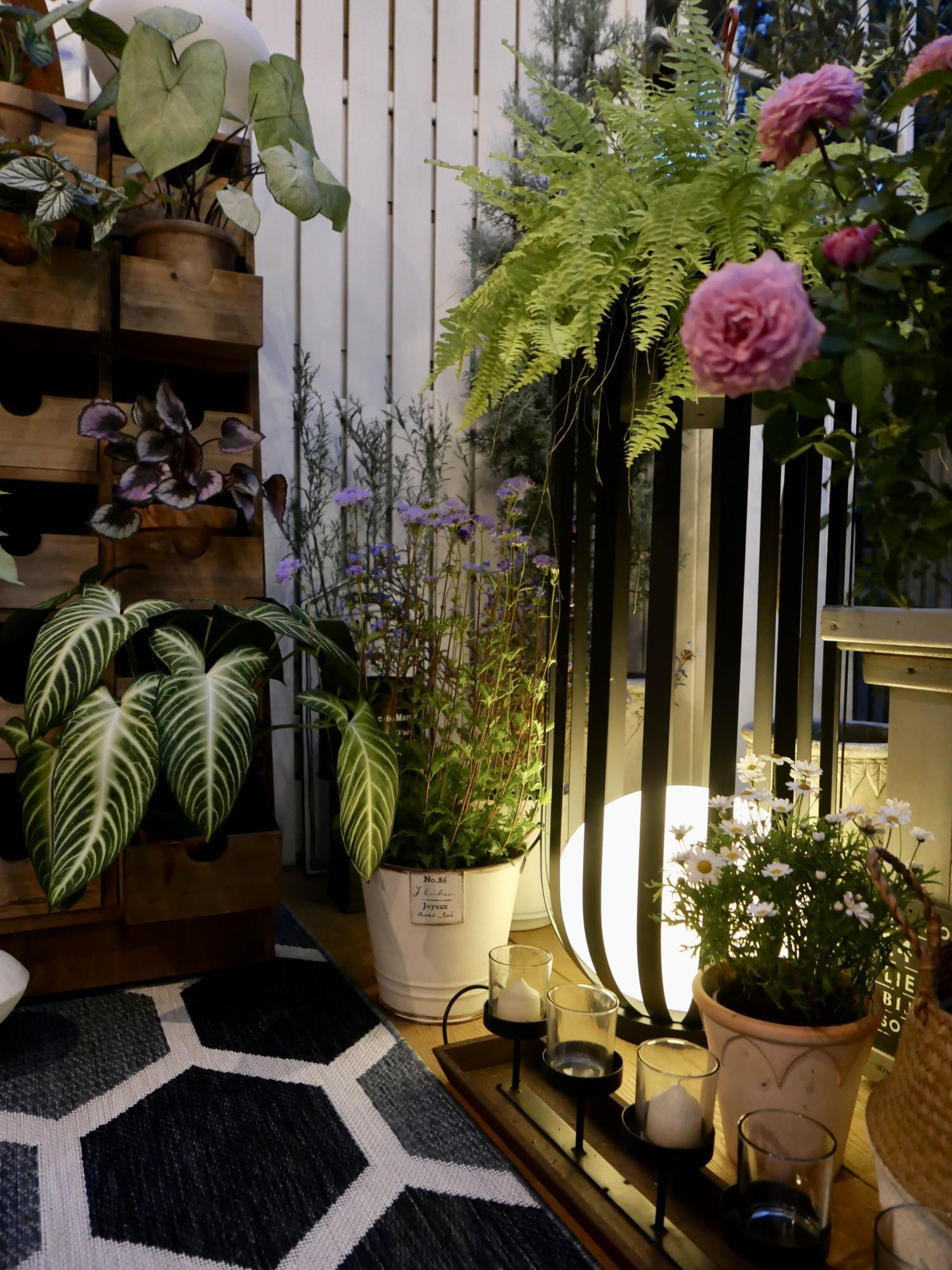Bols Garden Solar Outdoor Lamp - Blowlighting