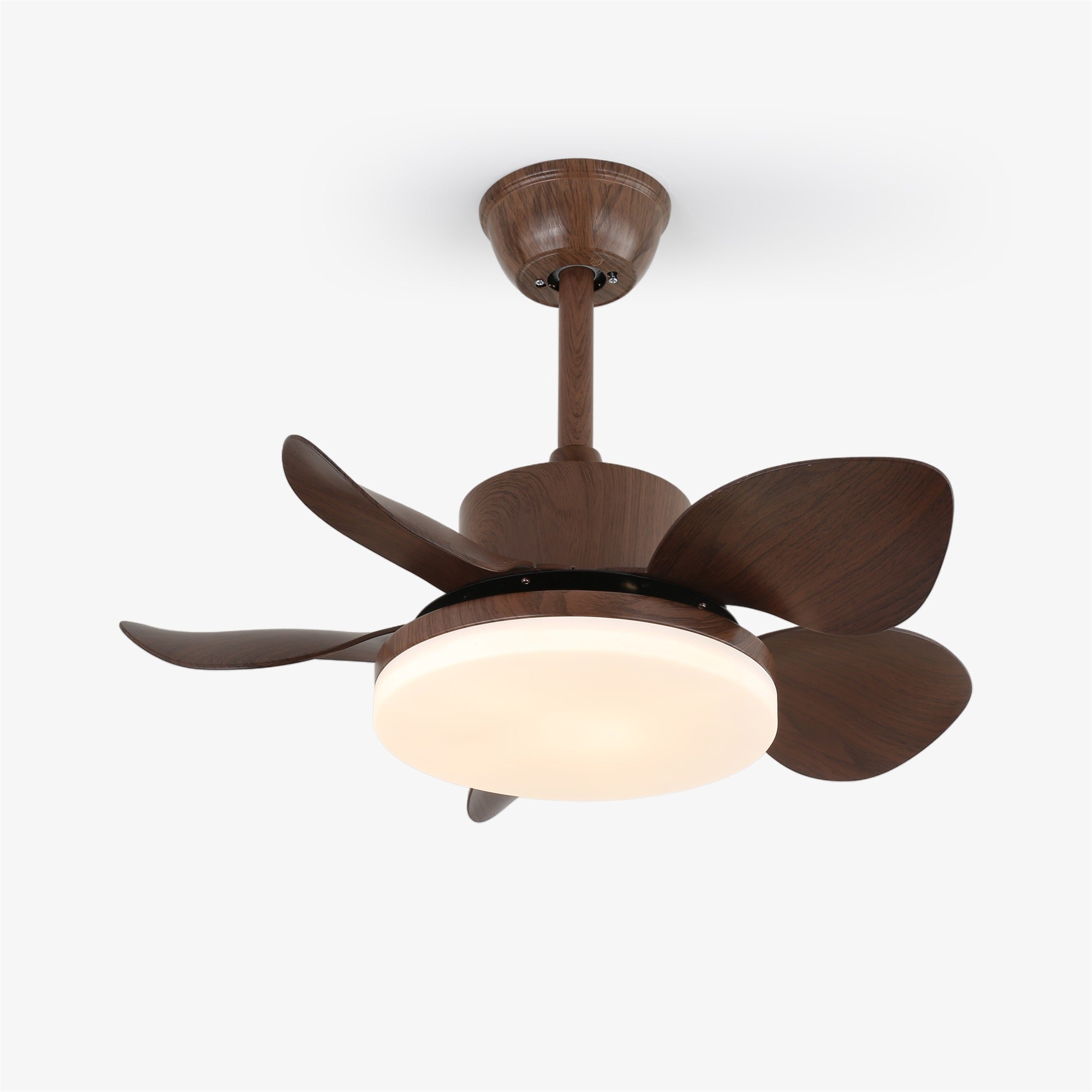 Alenya Wood Ceiling Fan Light - Blowlighting
