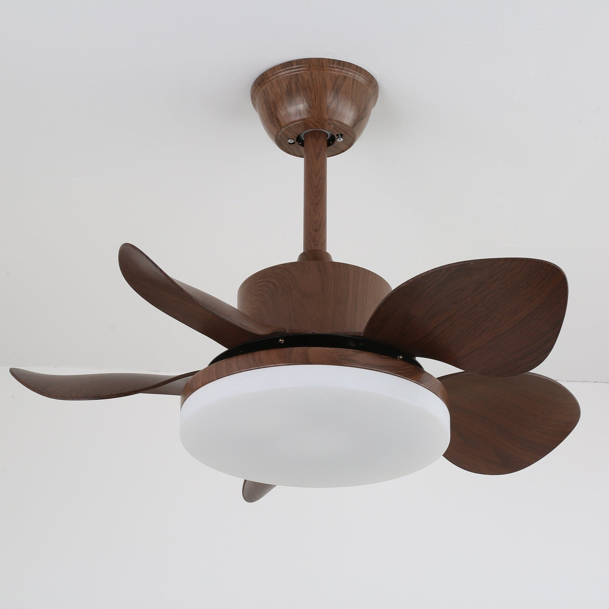 Alenya Wood Ceiling Fan Light - Blowlighting
