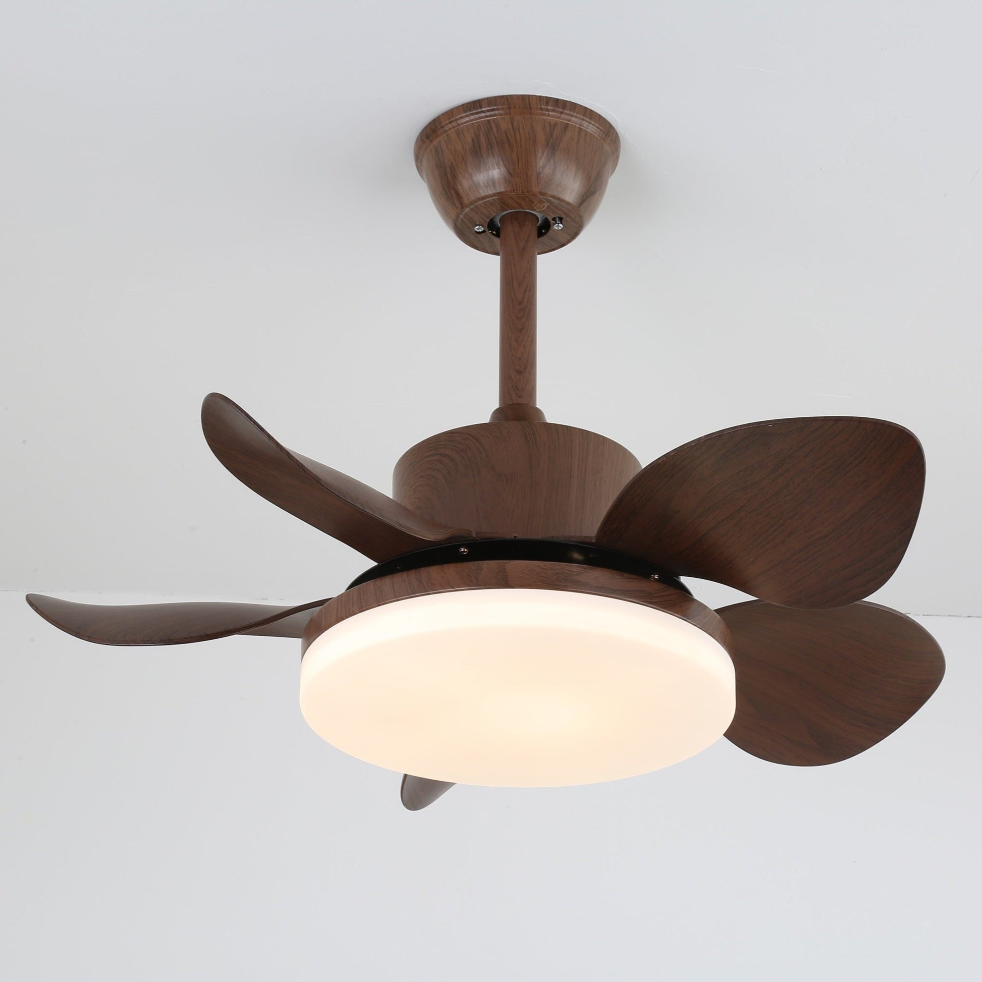 Alenya Wood Ceiling Fan Light - Blowlighting