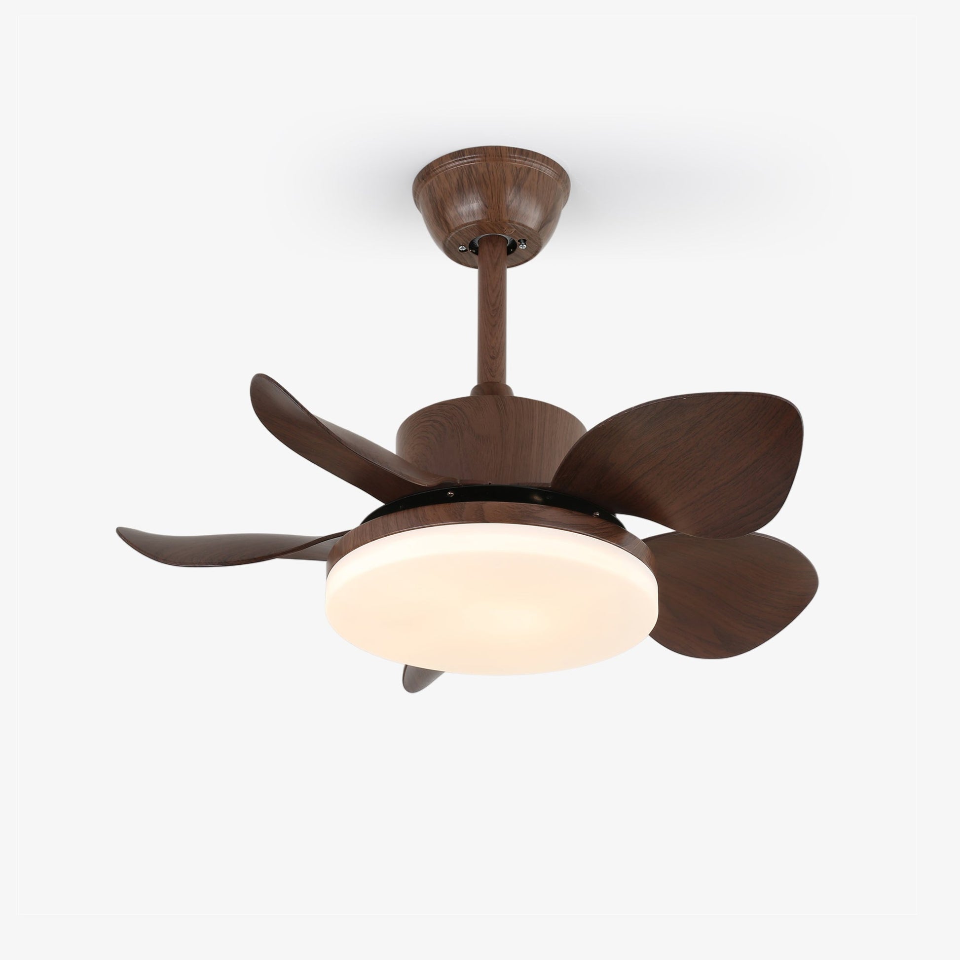 Alenya Wood Ceiling Fan Light - Blowlighting