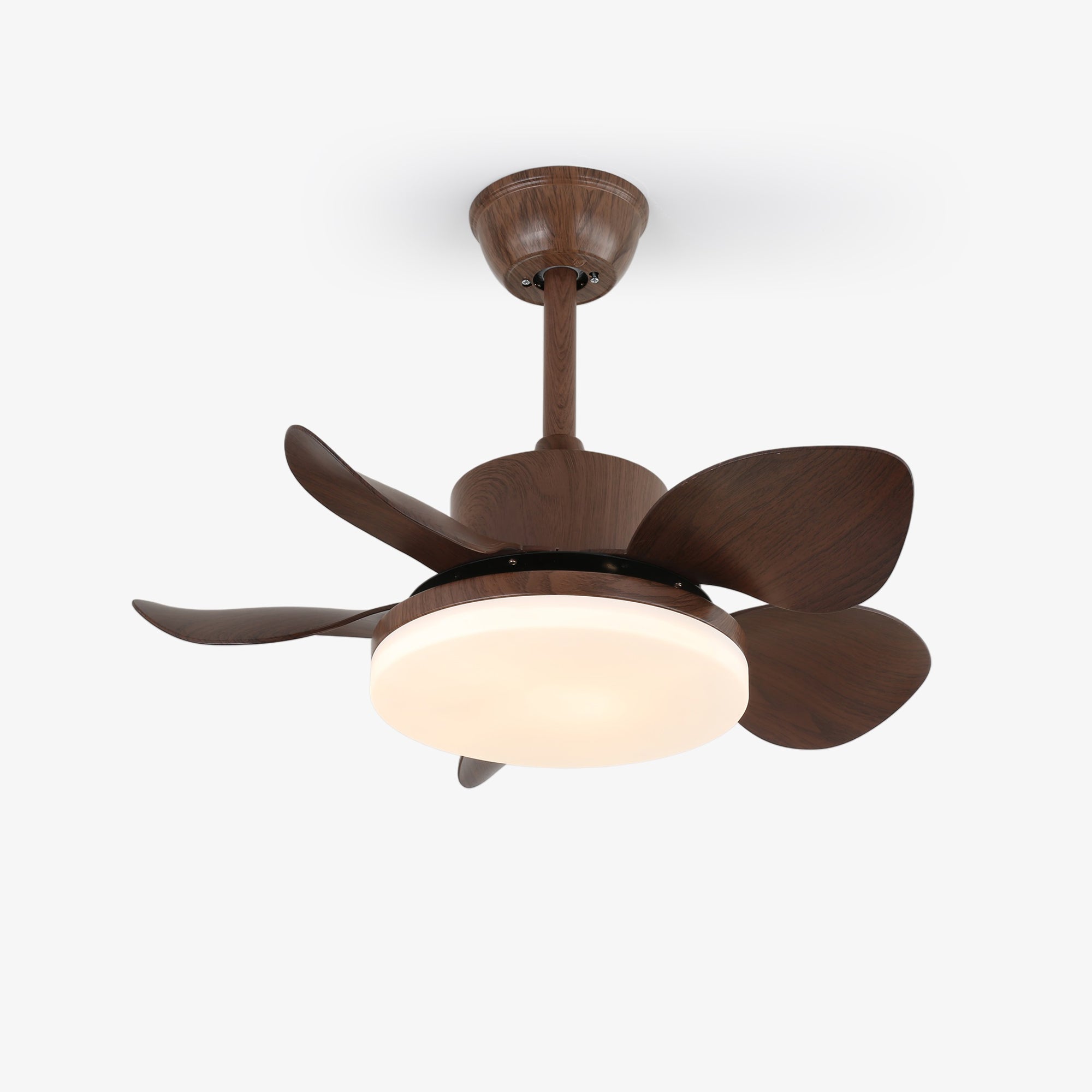 Alenya Wood Ceiling Fan Light - Blowlighting