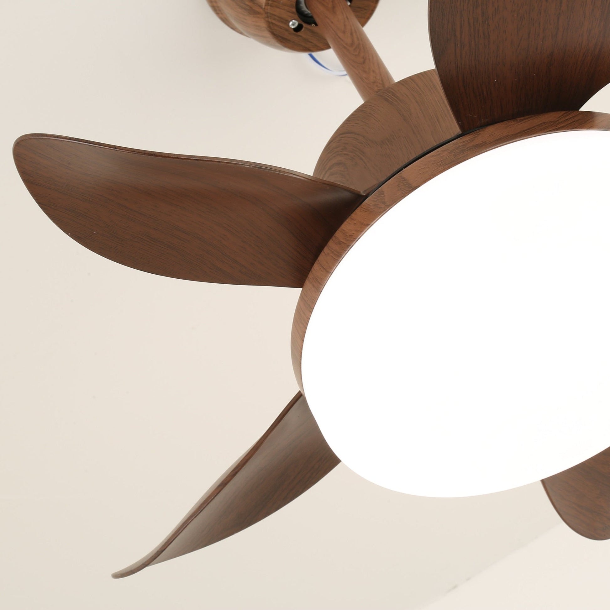 Alenya Wood Ceiling Fan Light - Blowlighting