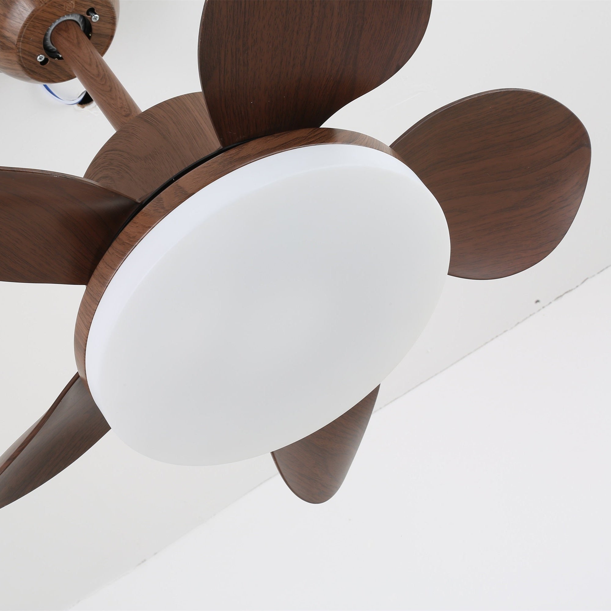 Alenya Wood Ceiling Fan Light - Blowlighting