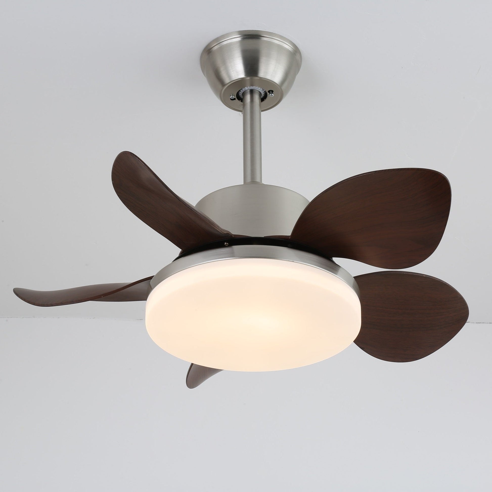 Alenya Wood Ceiling Fan Light - Blowlighting