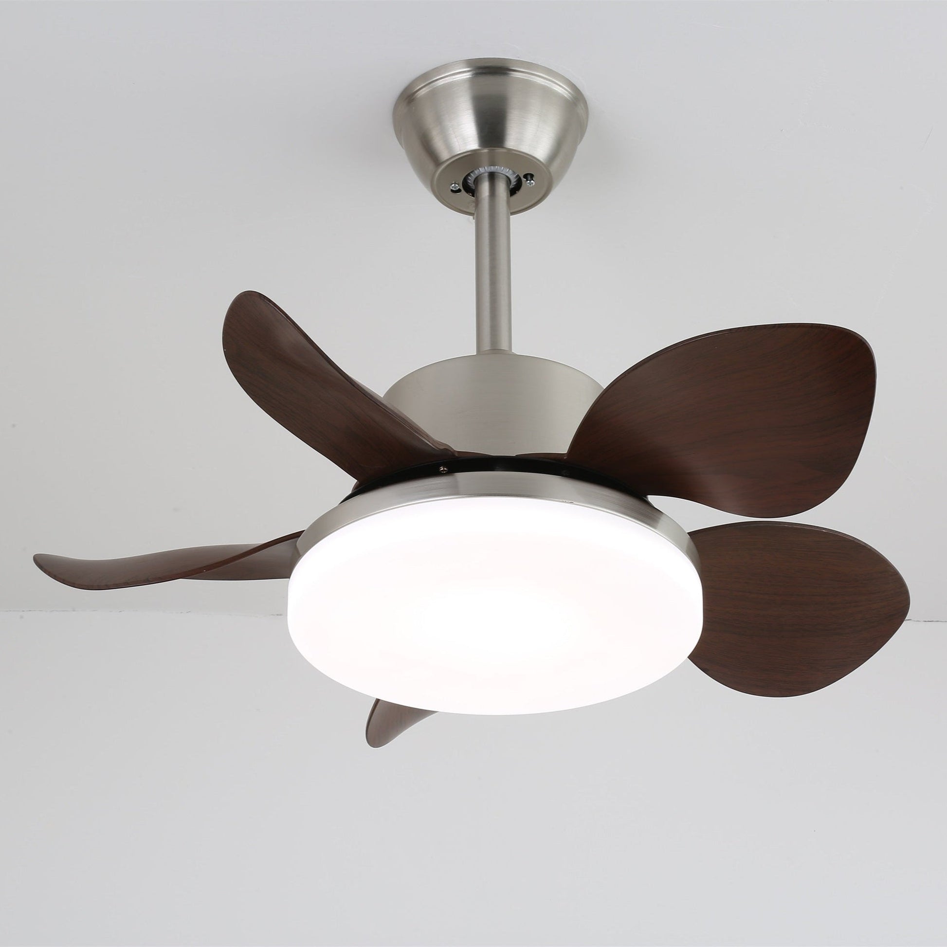 Alenya Wood Ceiling Fan Light - Blowlighting