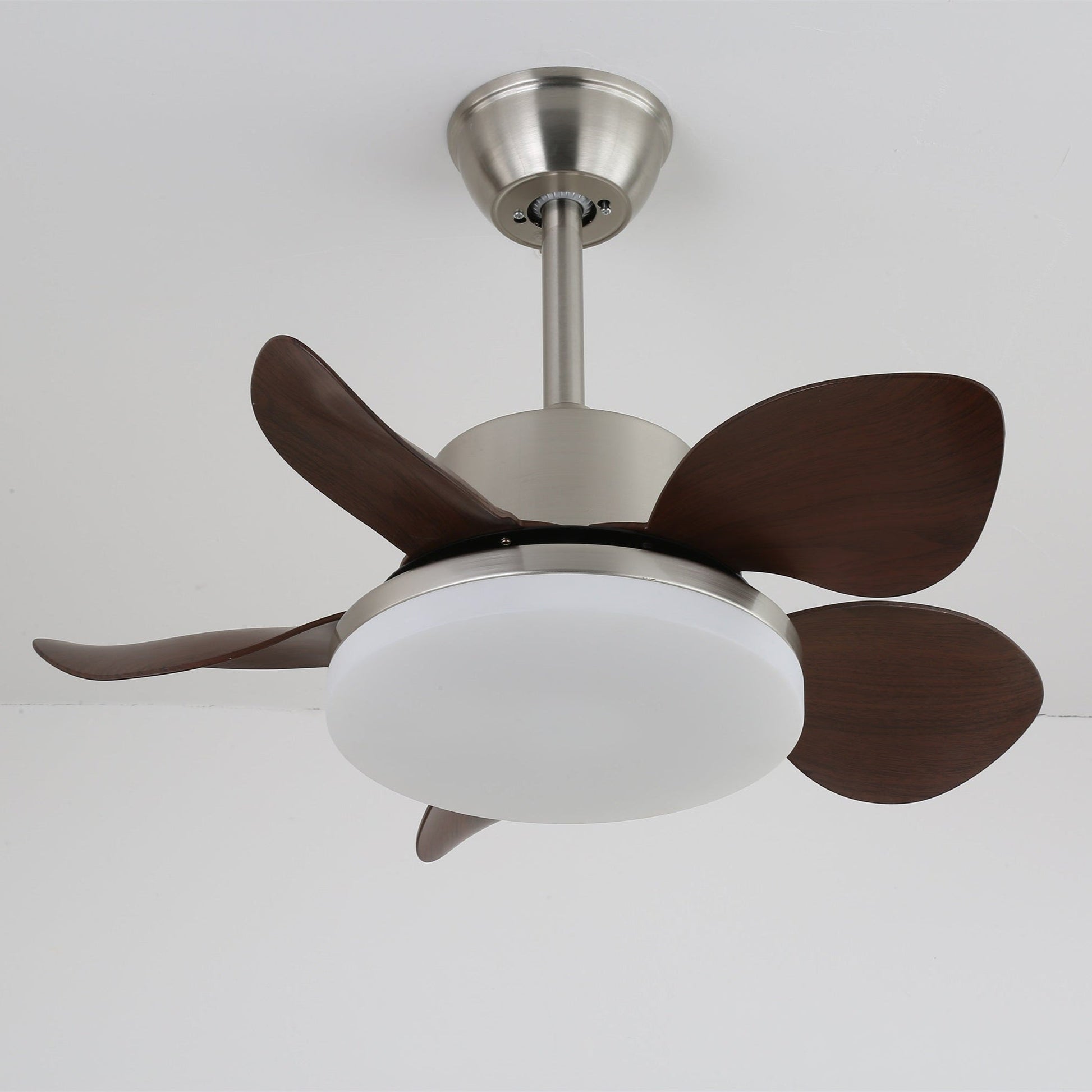 Alenya Wood Ceiling Fan Light - Blowlighting