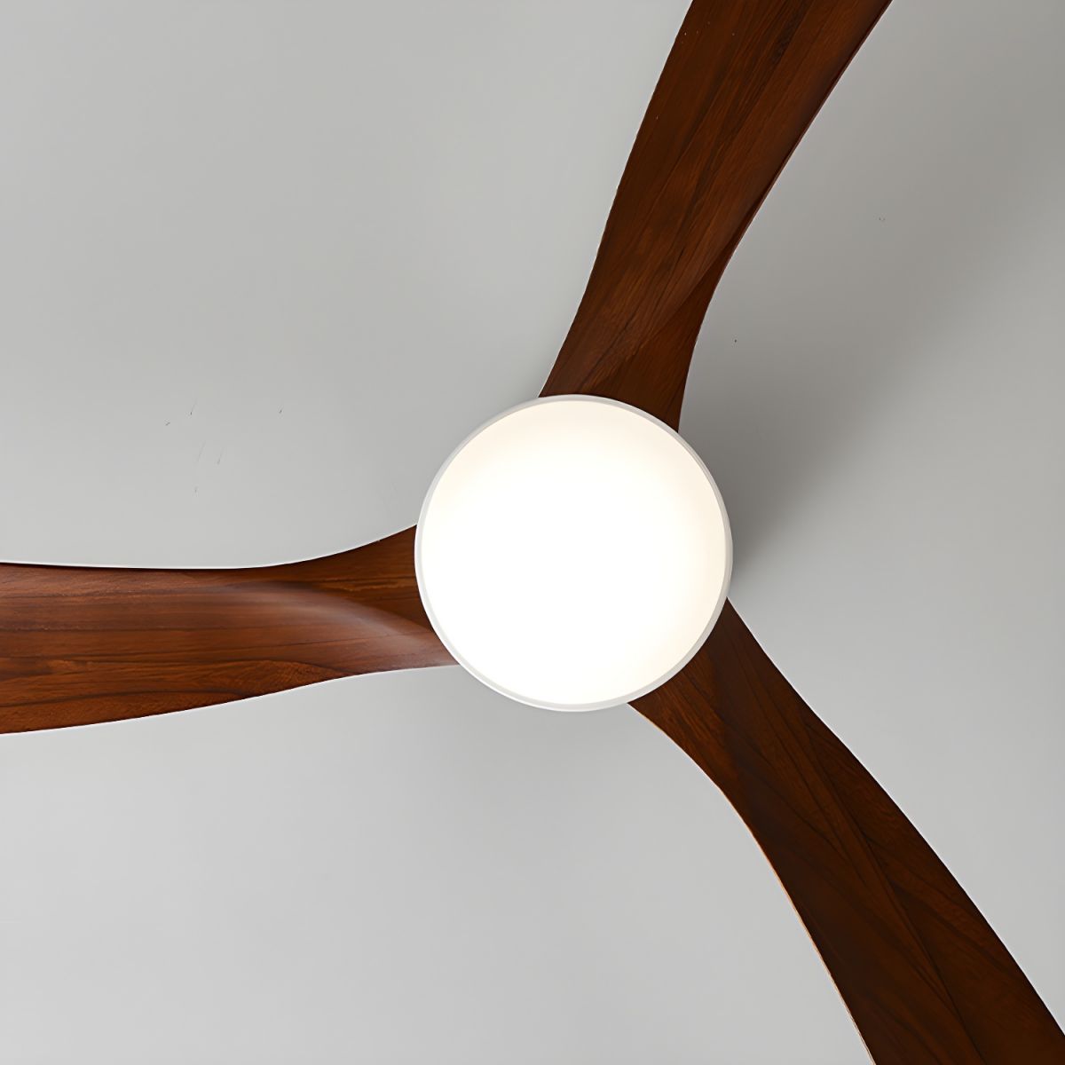 Brogan Modern Sycamore Wood Ceiling Fan Light