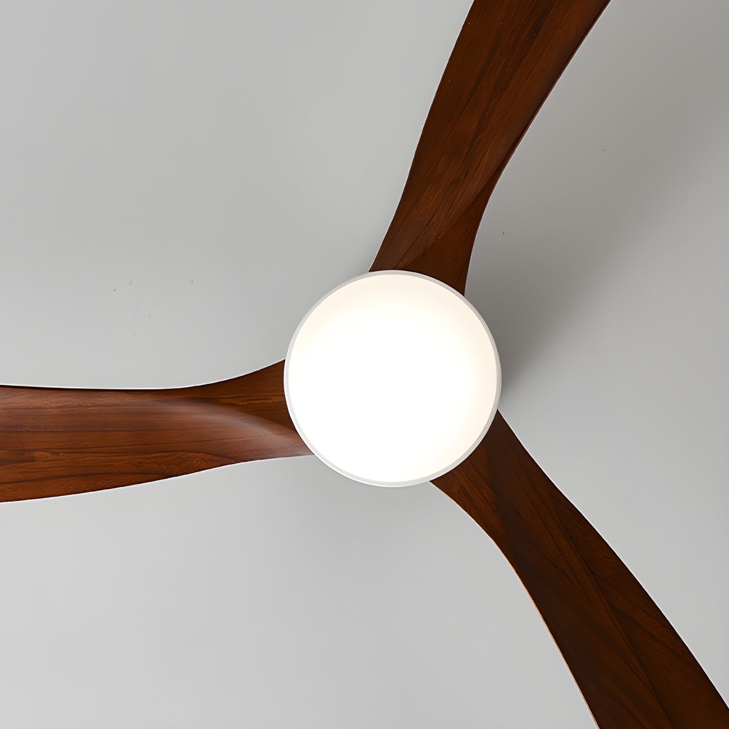 Brogan Modern Sycamore Wood Ceiling Fan Light