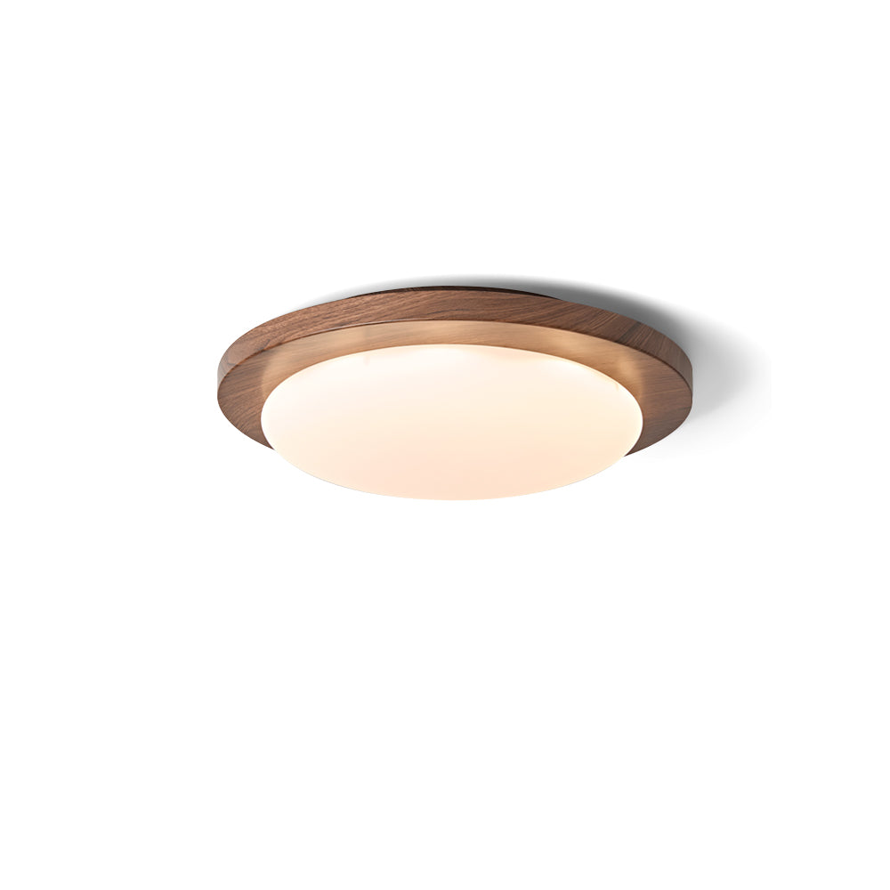 Bromo Minimalist Metal Ceiling Light