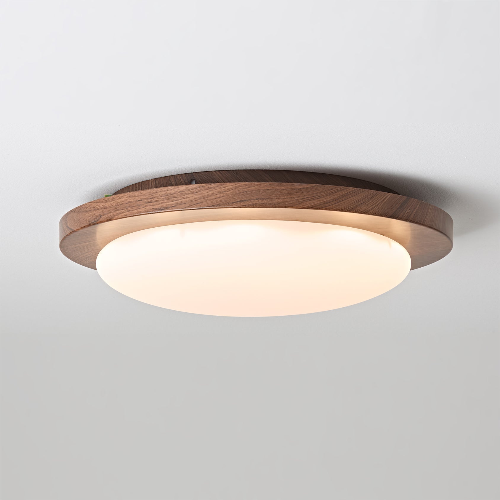 Bromo Minimalist Metal Ceiling Light