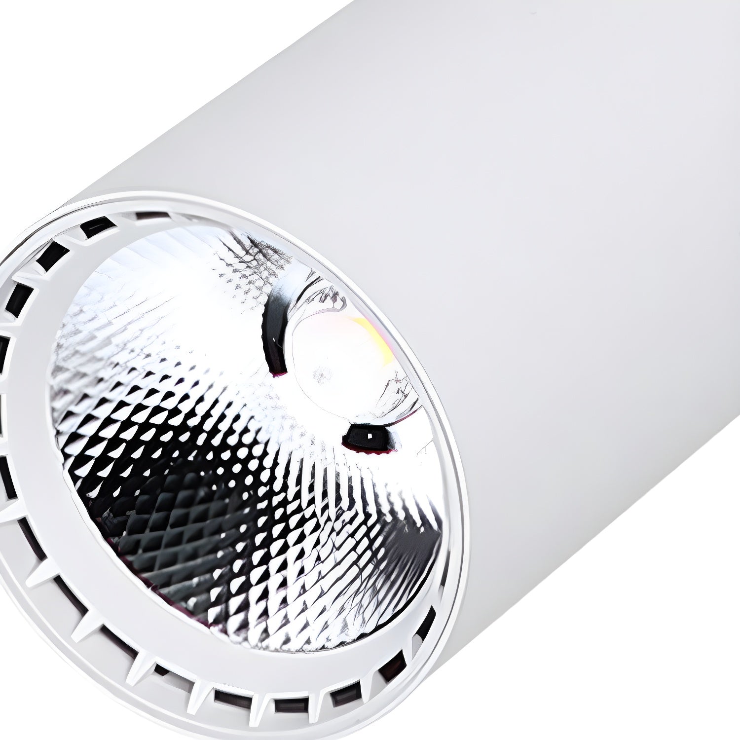 Calla Beam Spotlight - Blowlighting