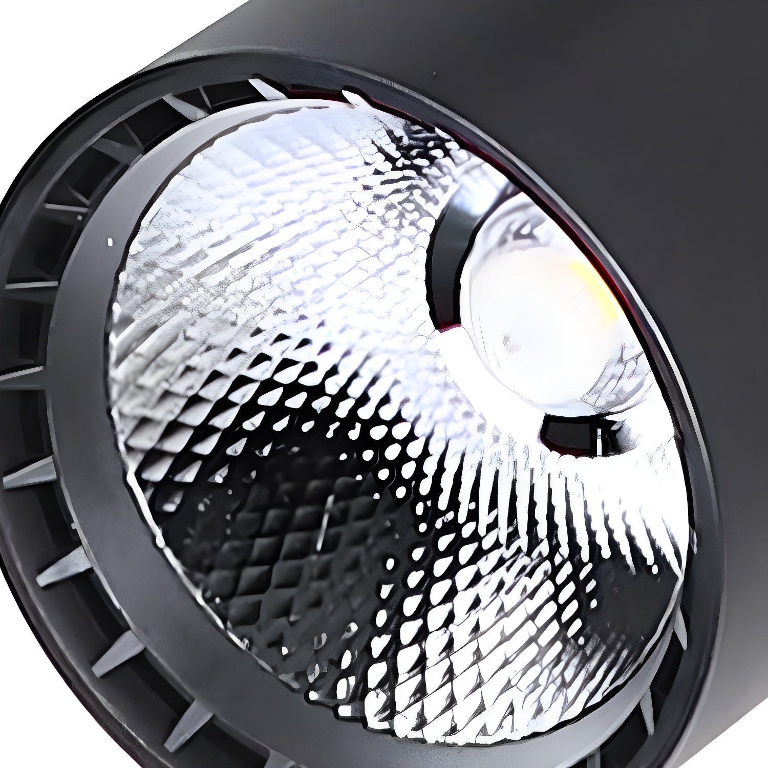Calla Beam Spotlight - Blowlighting