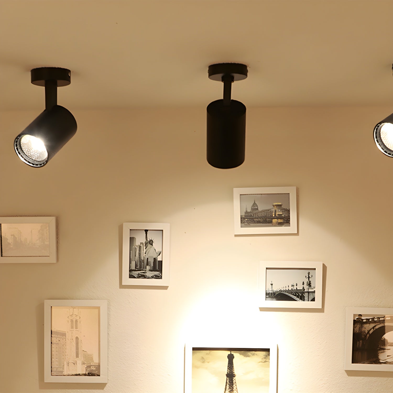 Calla Beam Spotlight - Blowlighting