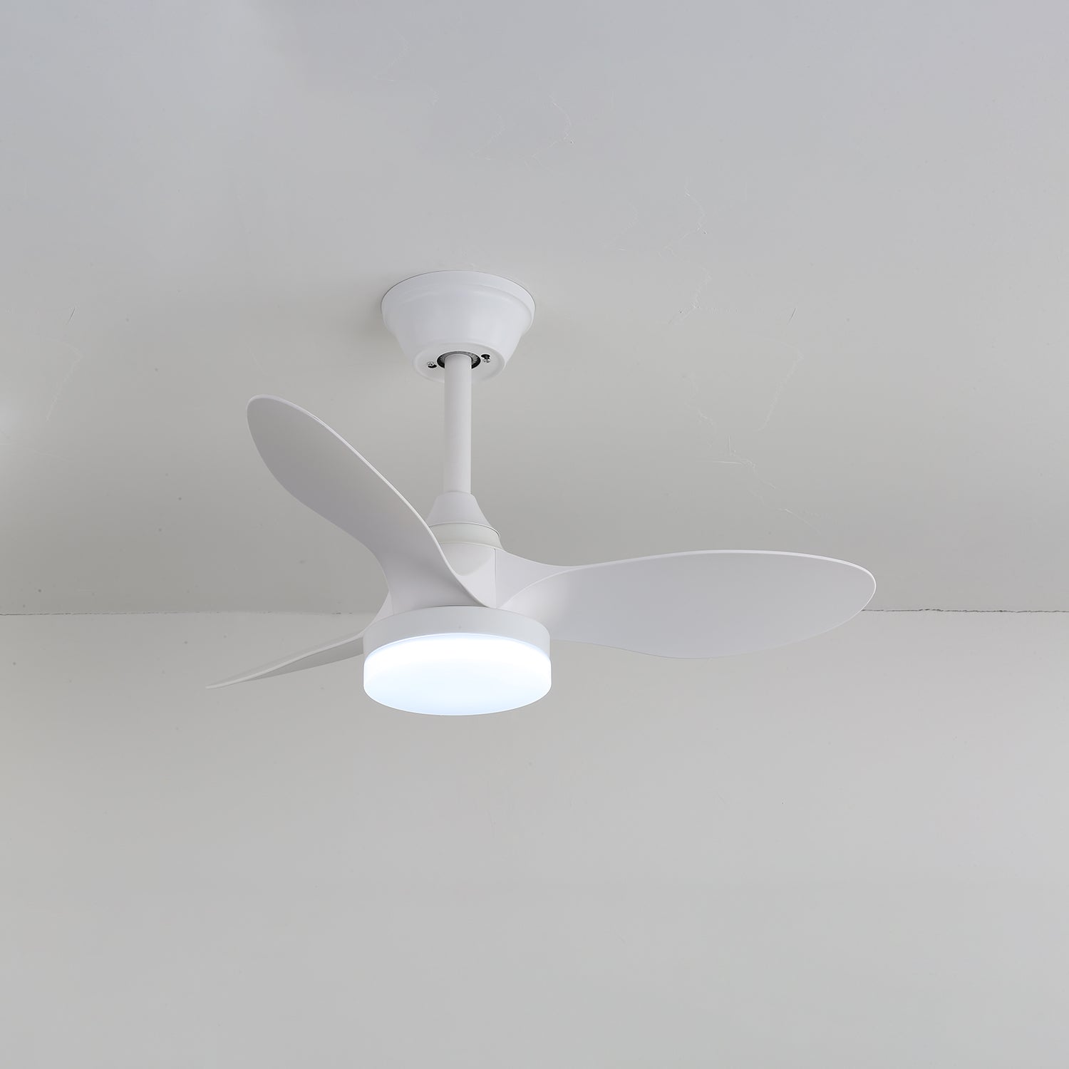 Aelric Modern Ceiling Fan Light - Blowlighting