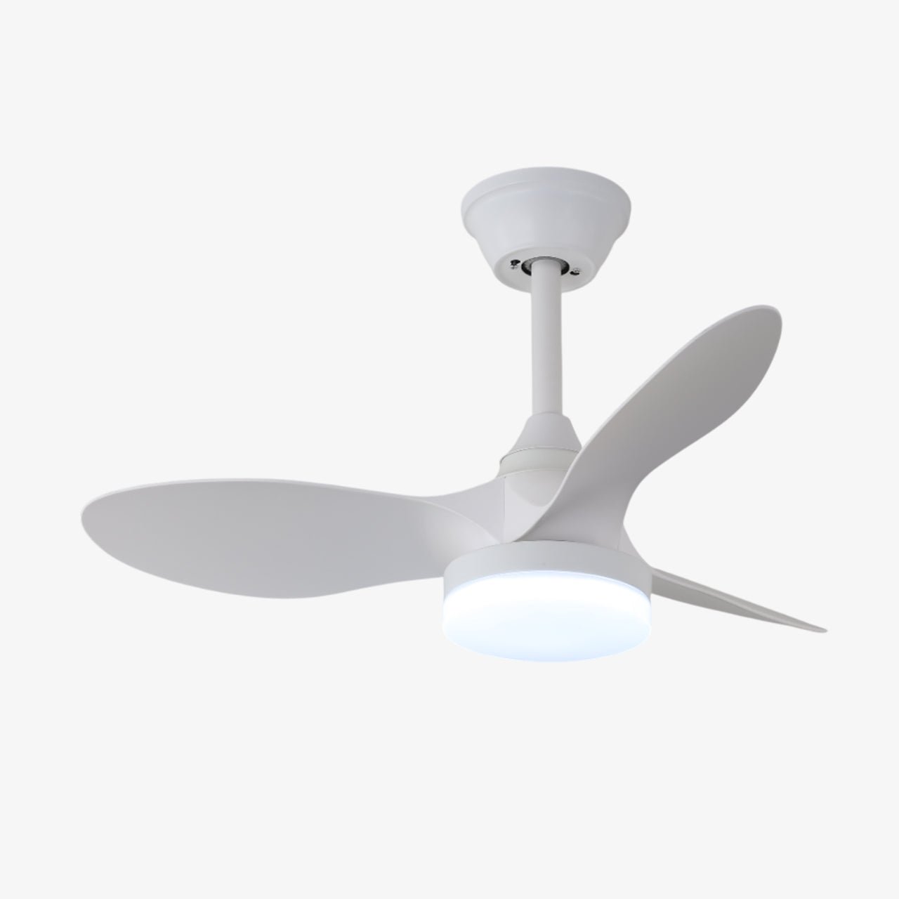 Aelric Modern Ceiling Fan Light - Blowlighting