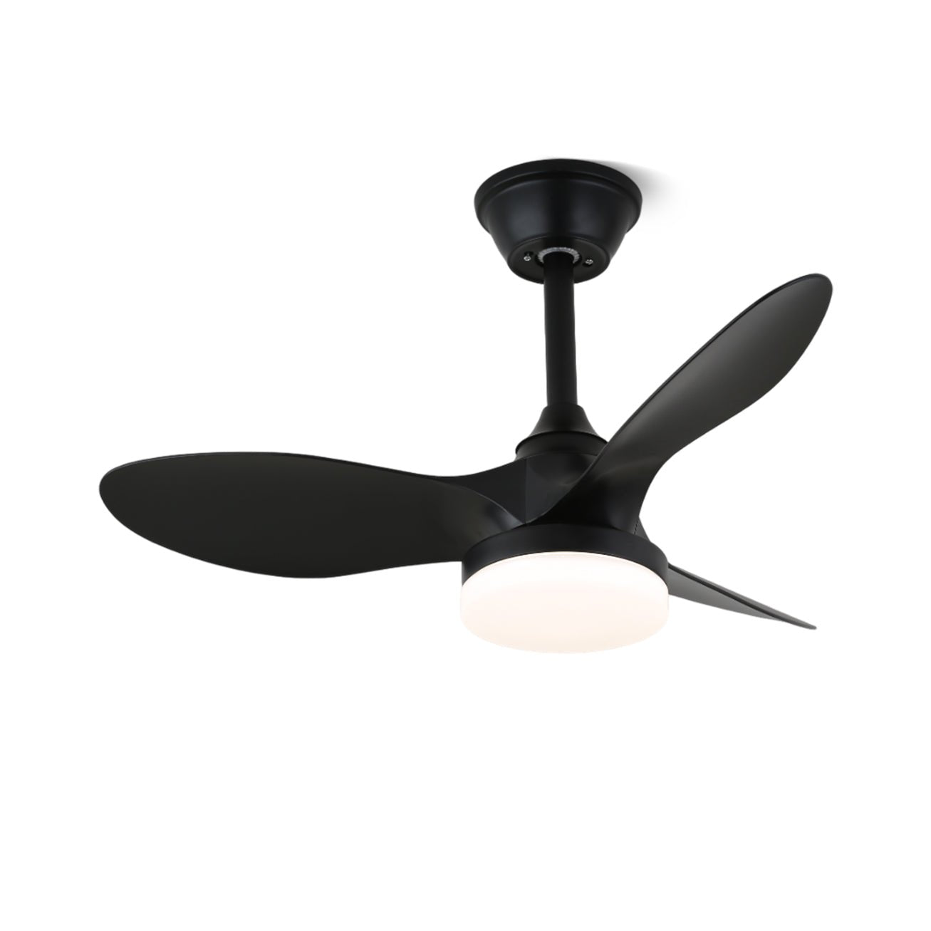 Aelric Modern Ceiling Fan Light - Blowlighting