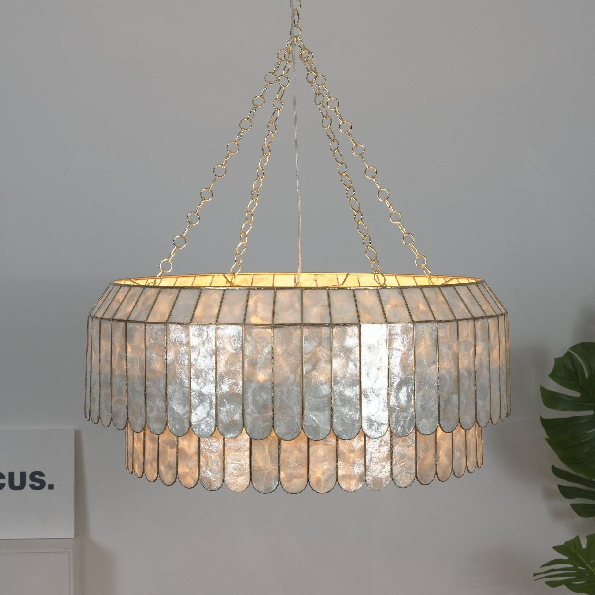 Capiz Aurelia Chandelier - Vakkerlight