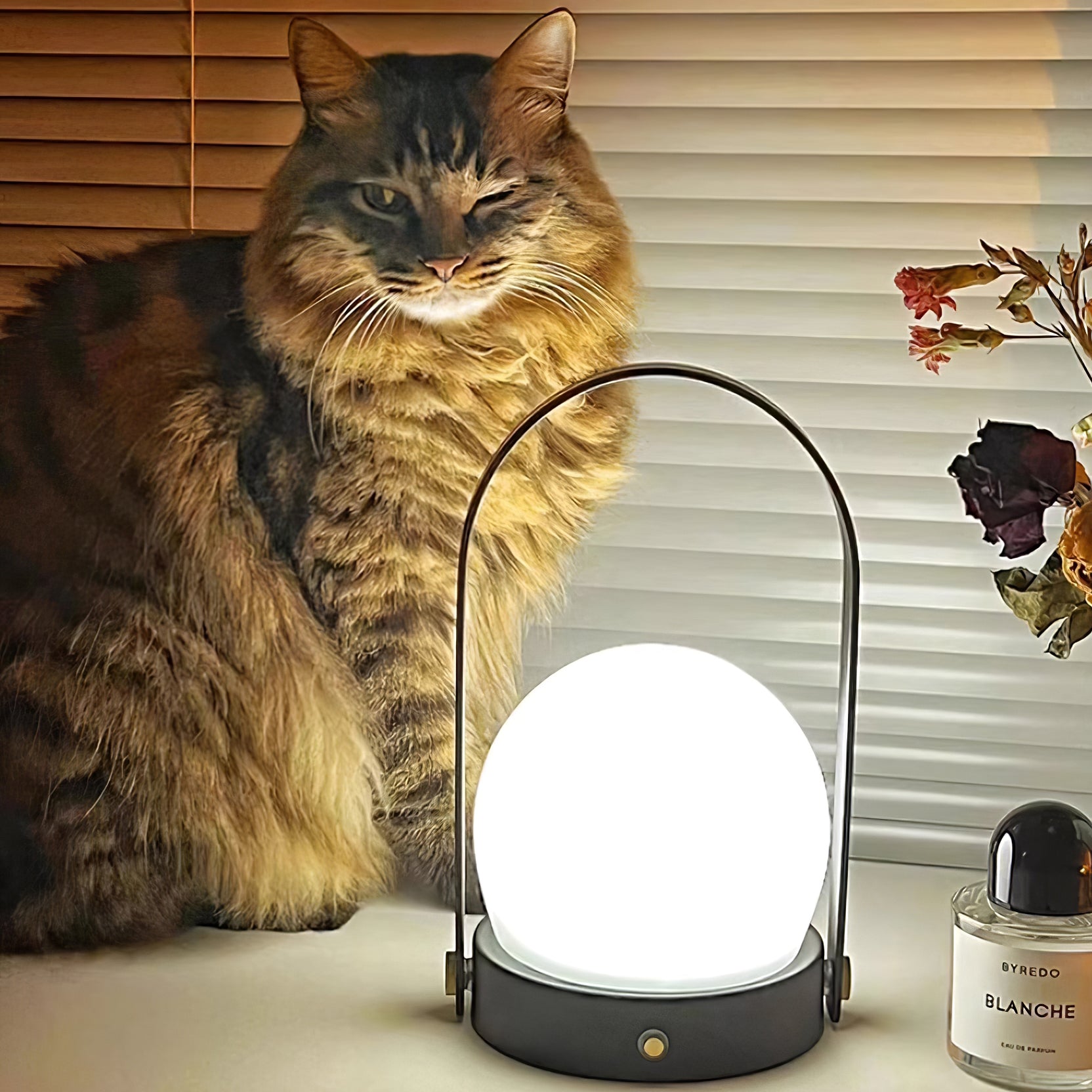 Carrie Built-in Battery Table Lamp - Blowlighting