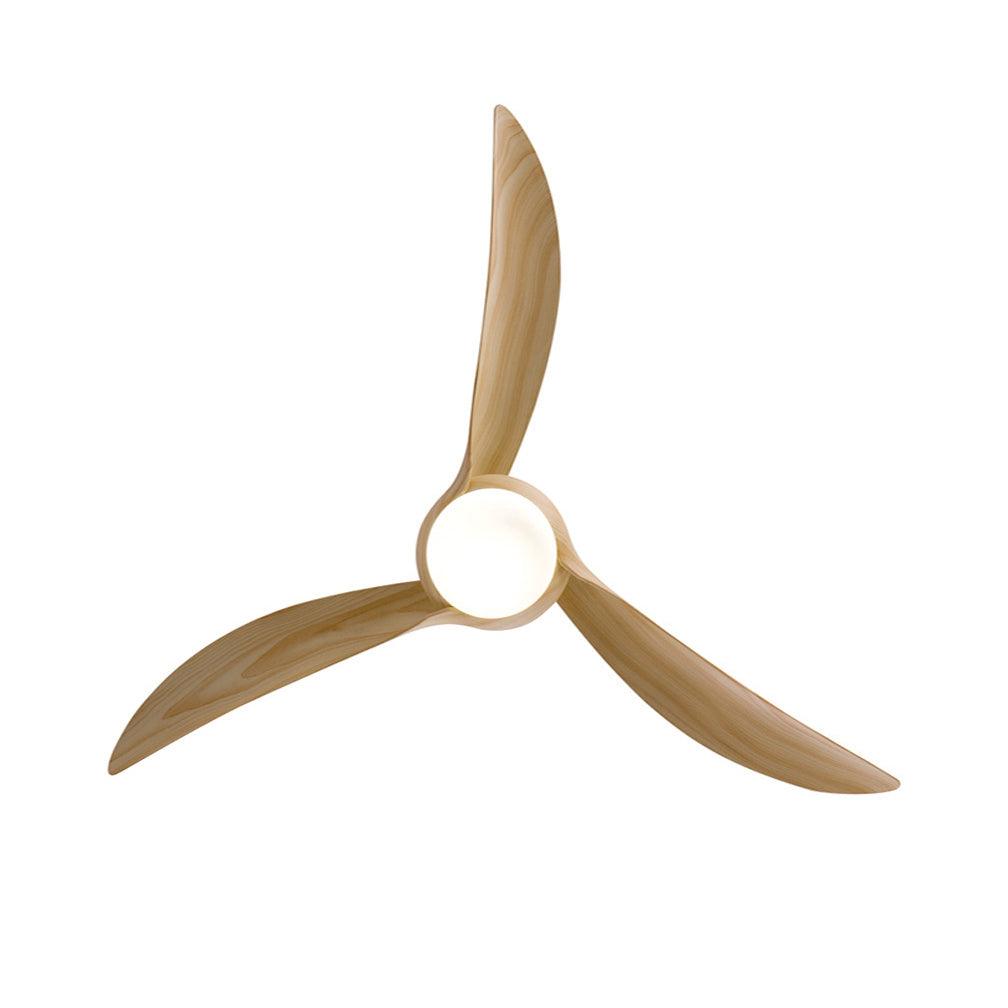 Traditional Ceiling Fan Light - Blowlighting
