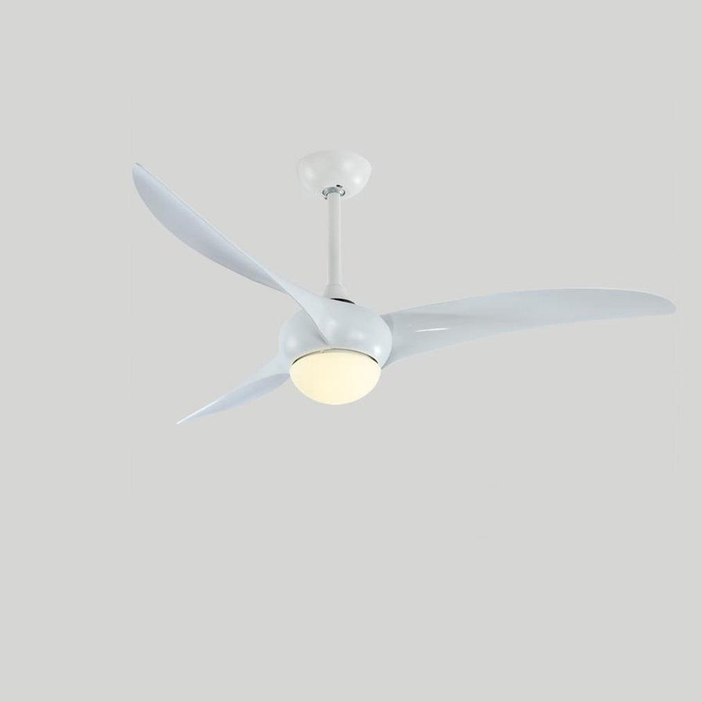 Traditional Ceiling Fan Light - Blowlighting
