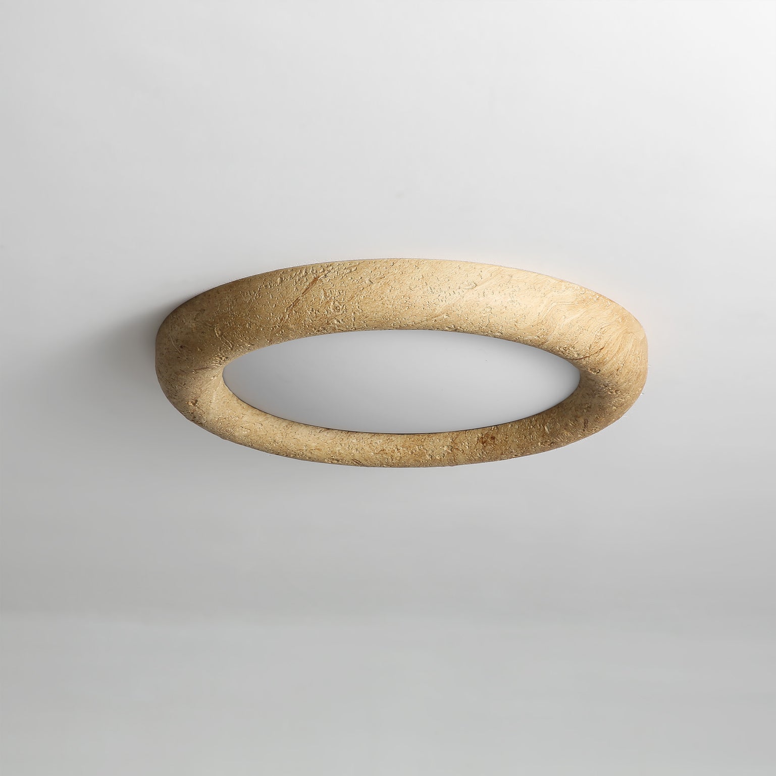Concise Minimalist Acrylic Ceiling Light