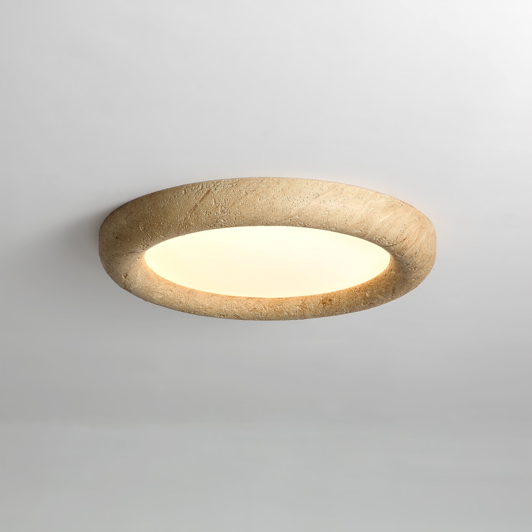 Concise Minimalist Acrylic Ceiling Light