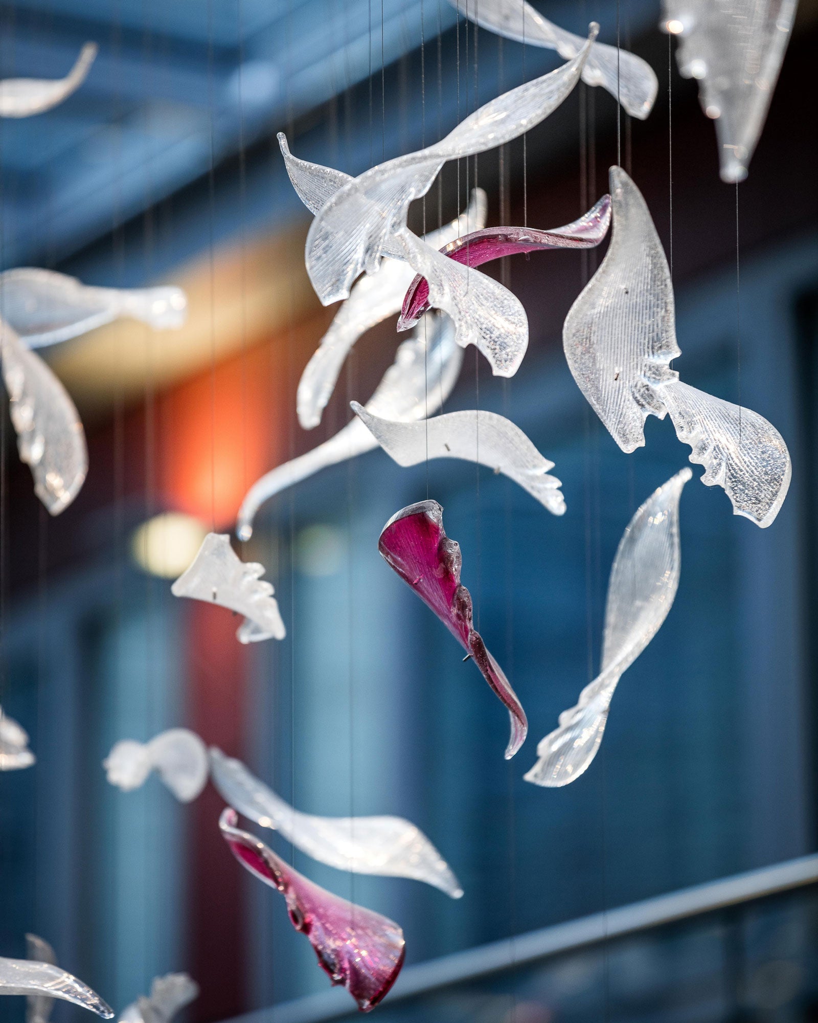 Zathaara Glass Feather Shape Chandelier - Blowlighting