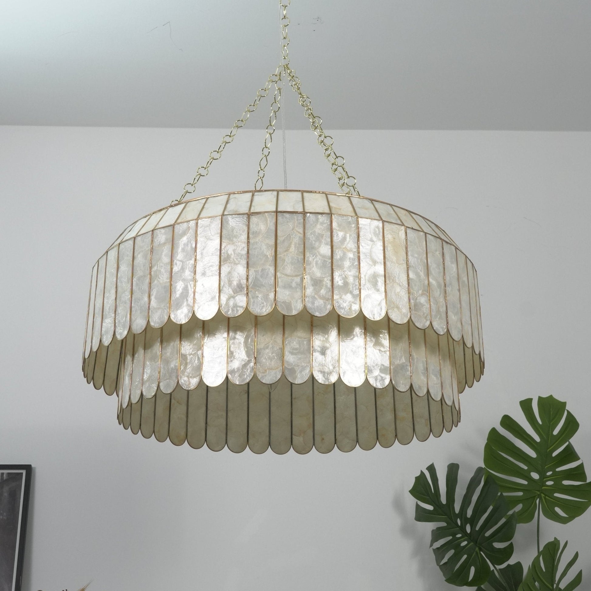Capiz Aurelia Chandelier - Vakkerlight
