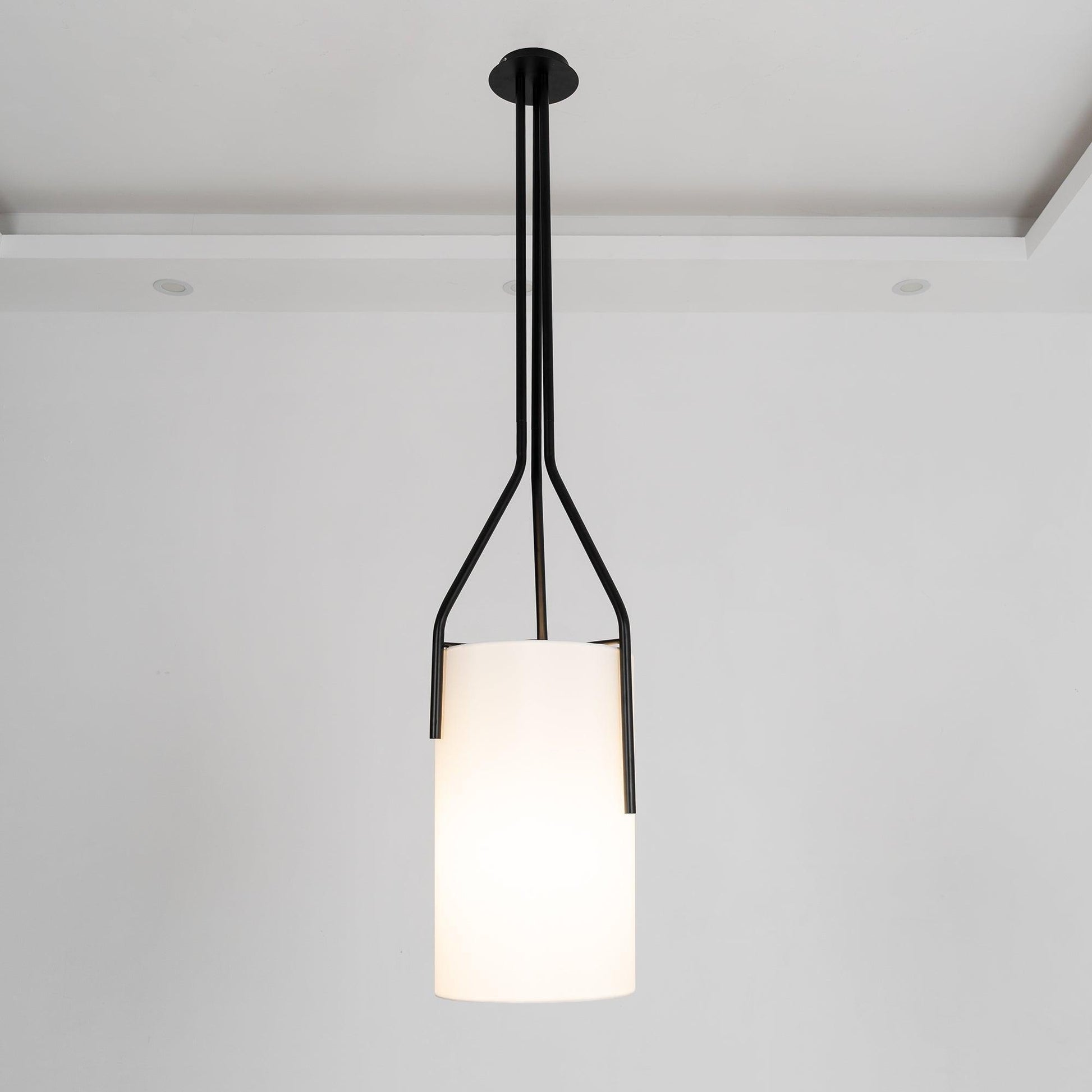 Arborescence Chandelier - Blowlighting