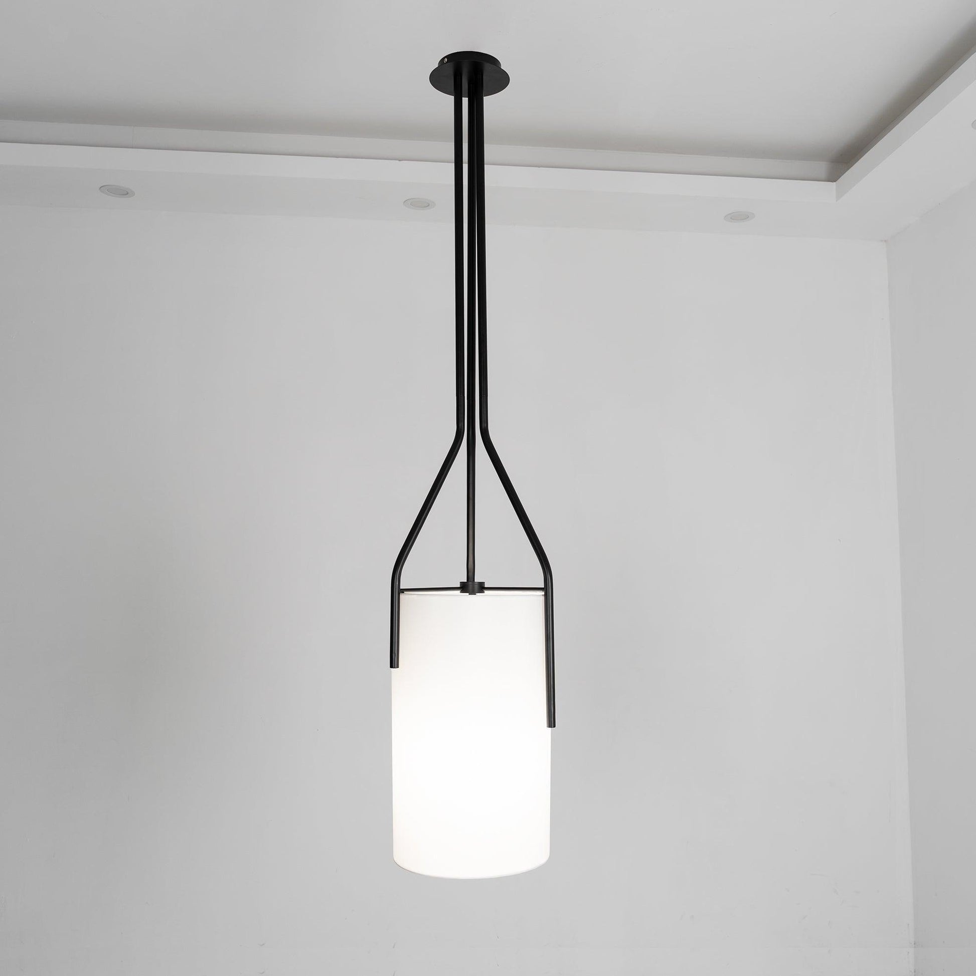 Arborescence Chandelier - Blowlighting
