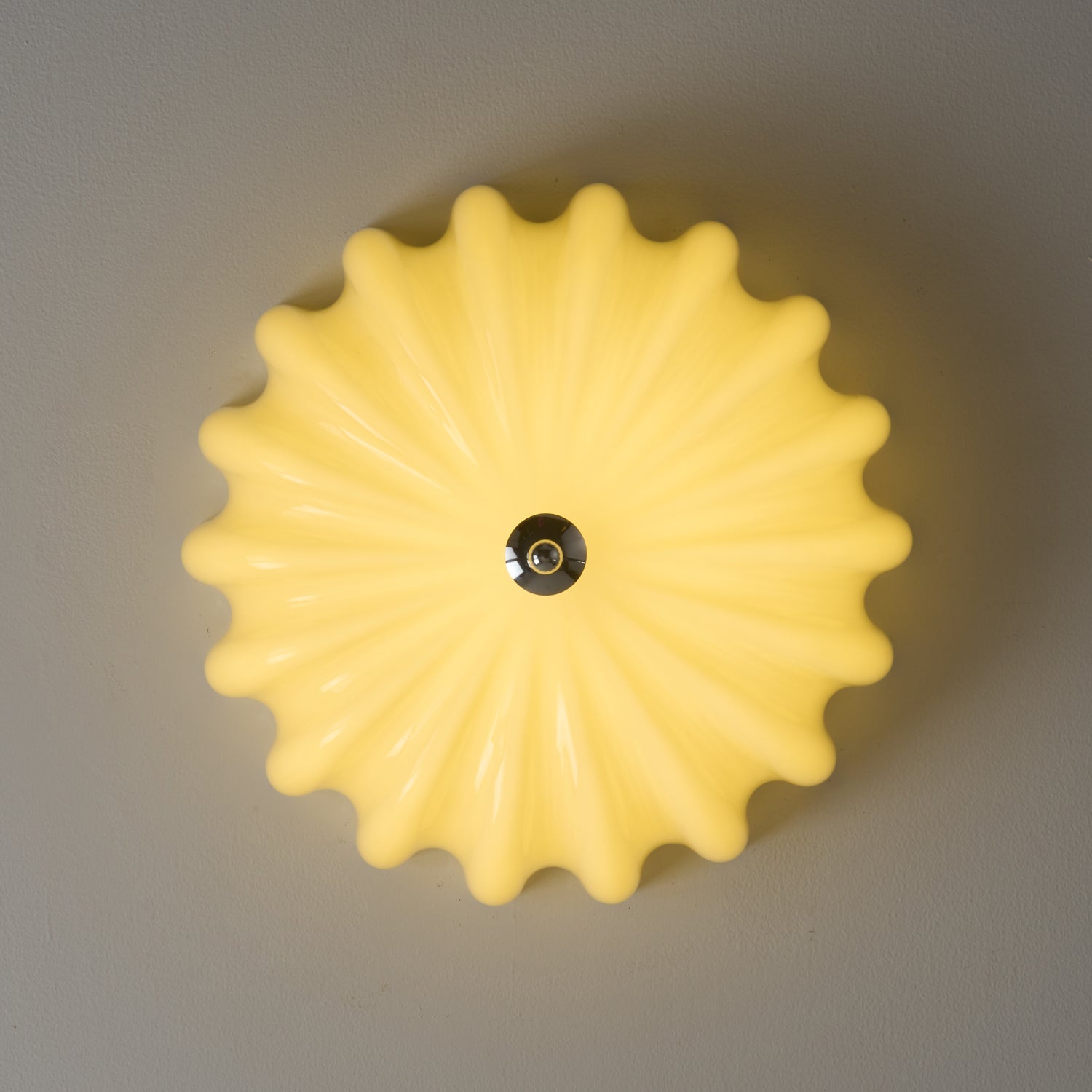 Dewdrop Shell Ceiling Light - Blowlighting